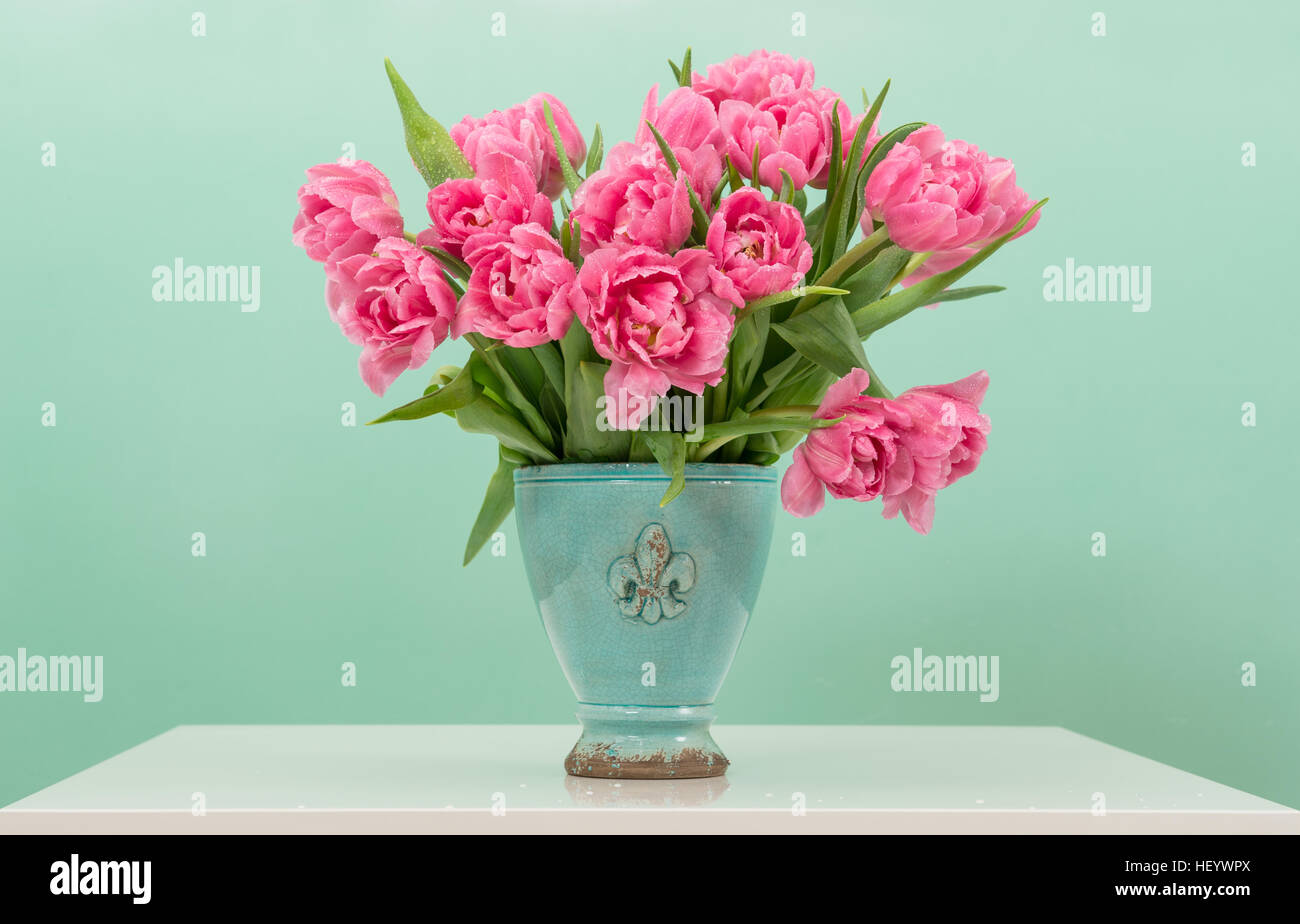 Rosa Tulpe Blüten mit Wassertropfen. Blumenarrangement auf Türkis Hintergrund Stockfoto