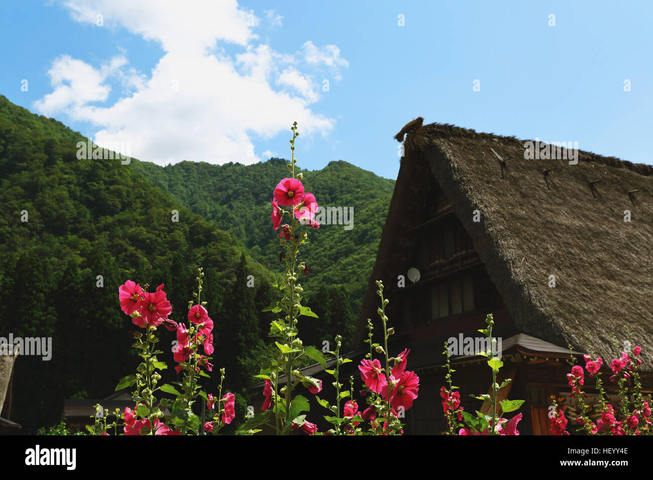 Traditionelles japanisches Dorf in Gokayama, Präfektur Toyama, Japan Stockfoto