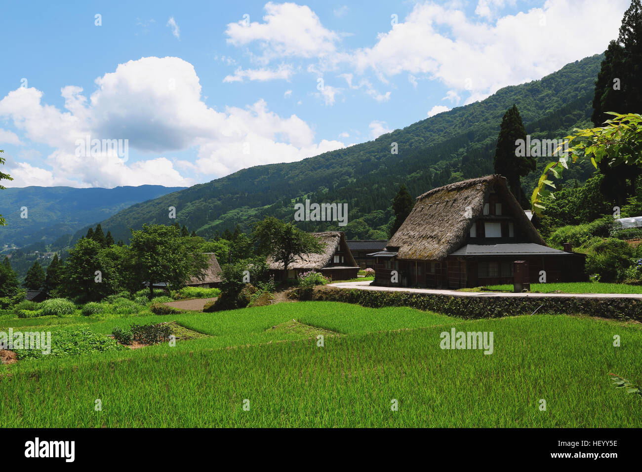 Traditionelles japanisches Dorf in Gokayama, Präfektur Toyama, Japan Stockfoto