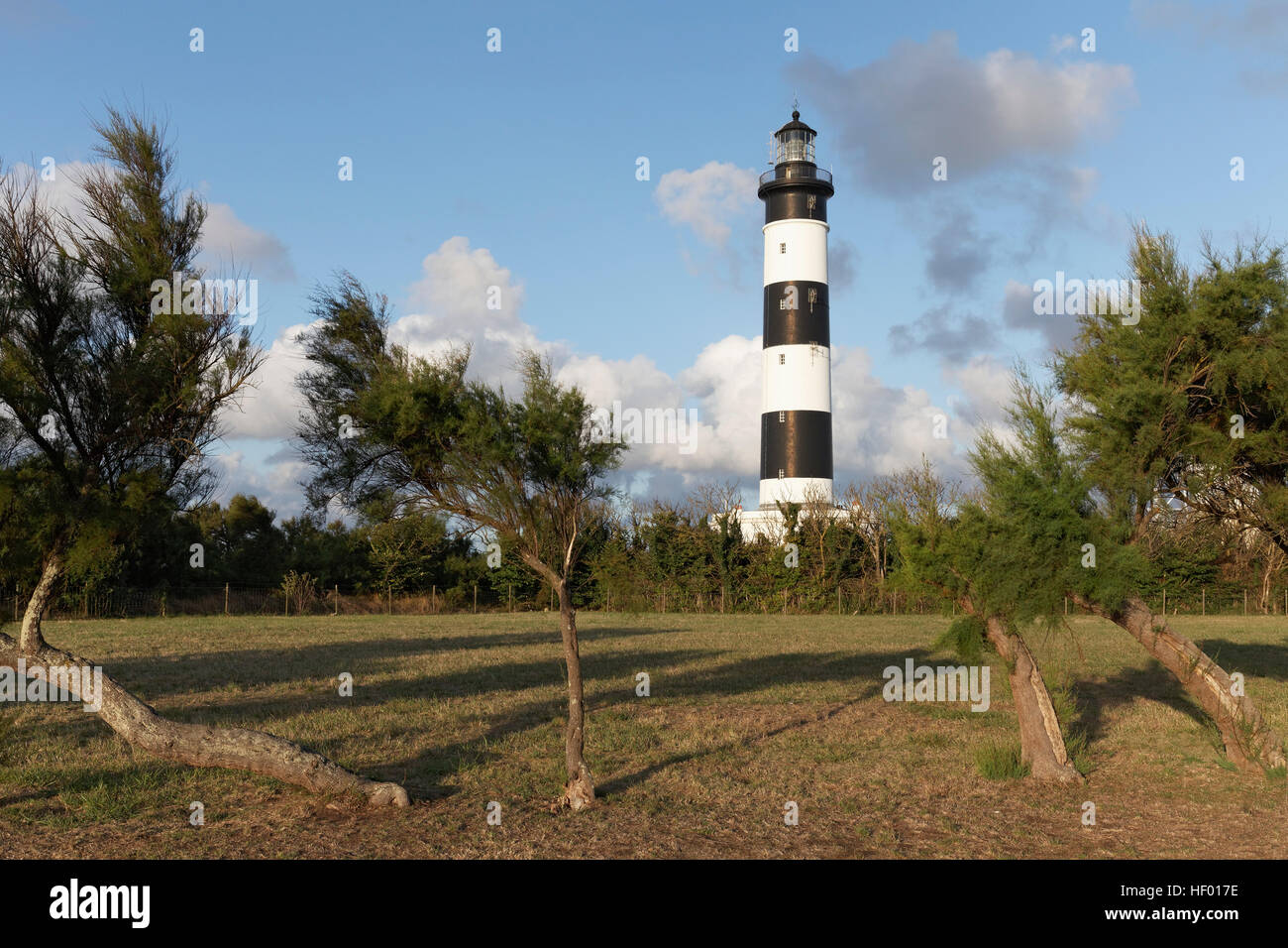 Leuchtturm, Phare de Chassiron, Saint Denis d'Oleron Ile d'Oleron, Charente-Maritime, Frankreich Stockfoto