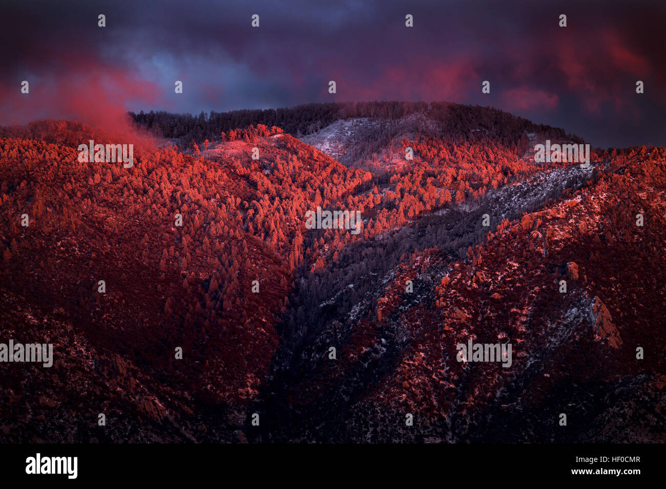 Der Sonnenuntergang über frisch gefallener Schneedecke in den Bergen von Santa Catalina in der Nähe von Tucson, Arizona, brachte nach einem kalten Wintersturm den Schnee bis zum Wüstenboden. Blick auf Mt. Lemmon aus Oro Valley, USA Stockfoto