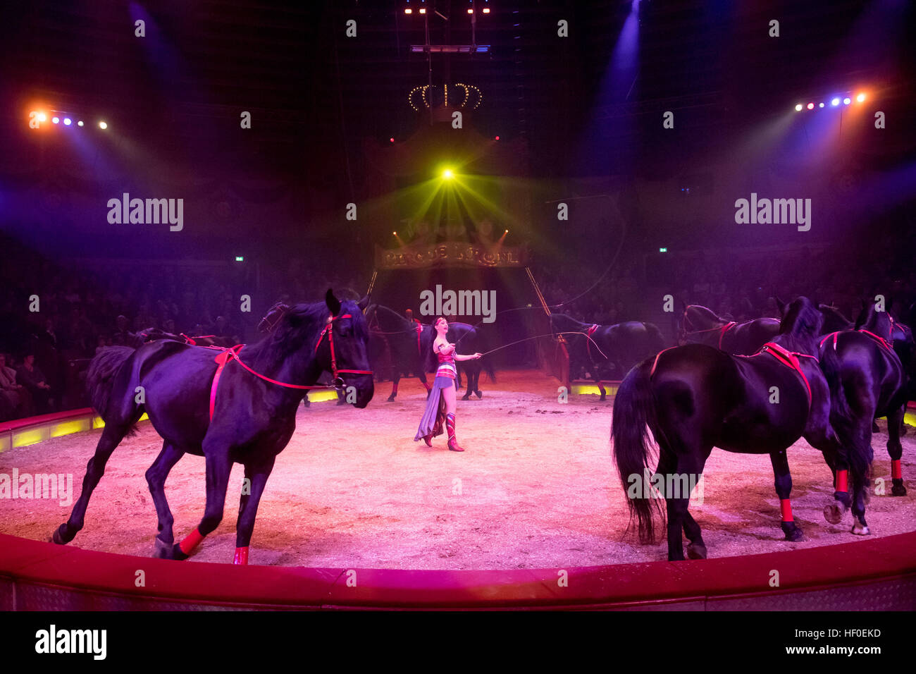 München, Deutschland. 25. Dezember 2016. Tiertrainer Jana Mandana führt mit Pferden während der Premiere des Circus Krone Winterprogramm in München, Deutschland, 25. Dezember 2016. Foto: Tobias Hase/Dpa/Alamy Live News Stockfoto