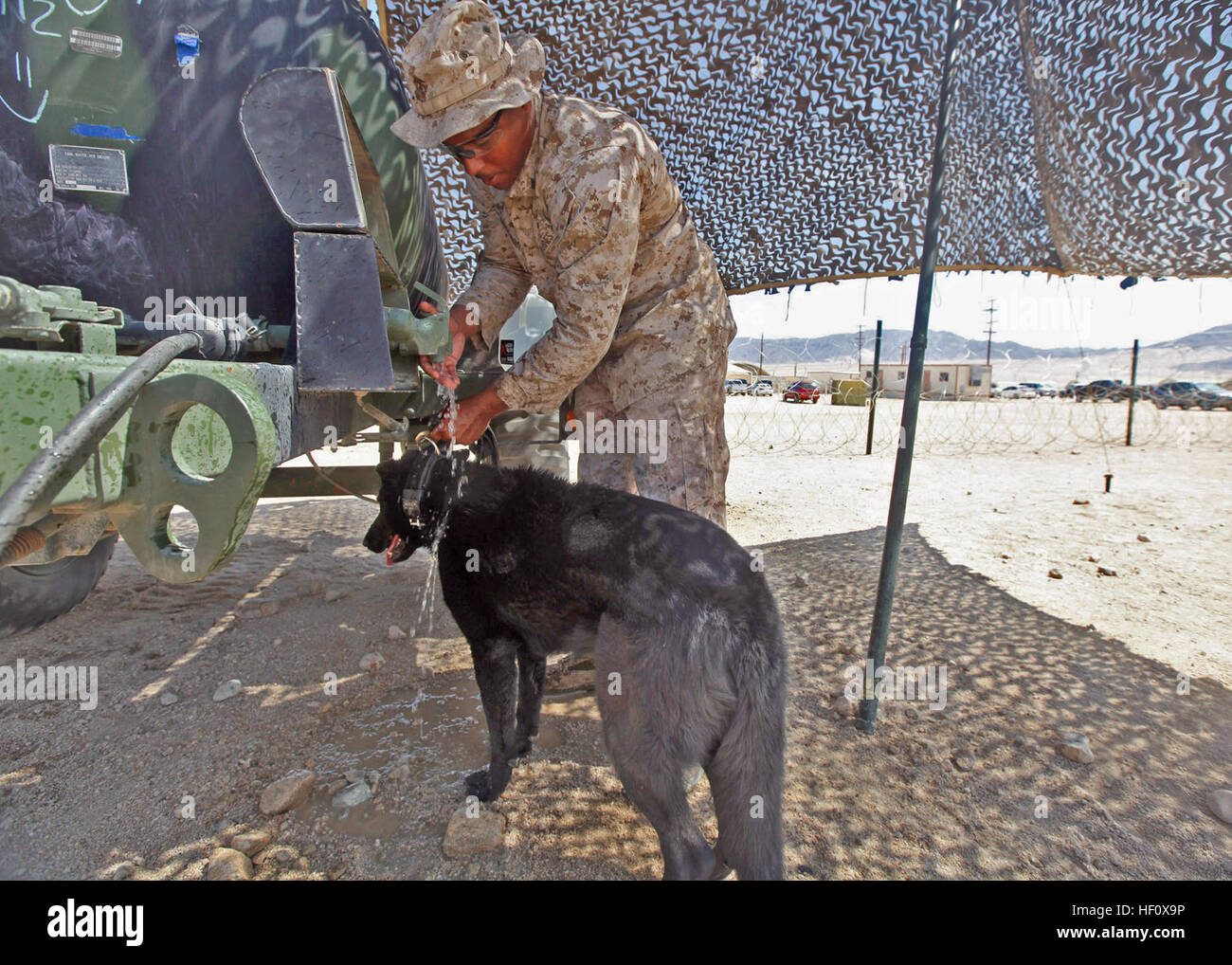 CPL. Dwight Jackson, ein Gebrauchshund-Handler mit 1. Law Enforcement Bataillon, ich Marine Expeditionary Force, kühlt seinen Hund, Hugo, während große Skala Übung-1, Javelin Schub 2012 Juli 11. Militärische Arbeitshunde bewahren kühlen Kopf während Javelin Schub 2012 120711-M-PF875-010 Stockfoto