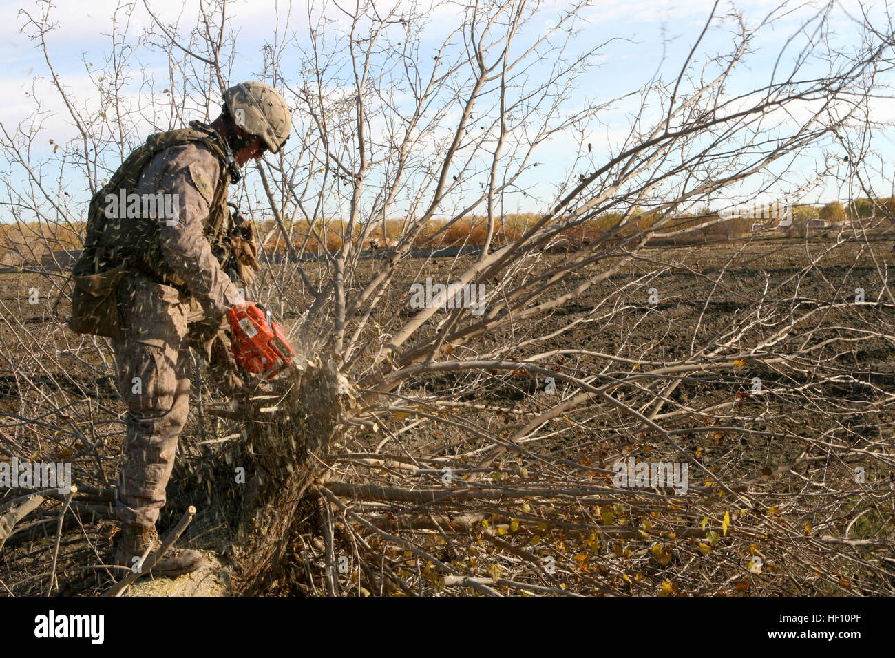 CPL Jonathan Lehman, Kampfingenieur mit Alpha Company, 2nd Combat Engineer Battalion, schneidet sich einen Baum, um Platz für den Bau von einem Beobachtungsposten in der Provinz Helmand, Afghanistan, Dec.18 zu machen. Der Beitrag war einer der zwei OPs, platziert an zentralen Standorten zu verhindern, dass die Aufständischen Platzierung IED entlang der Straßen. Marines Opfern Urlaub zu erkämpfen, Land DVIDS235183 Stockfoto