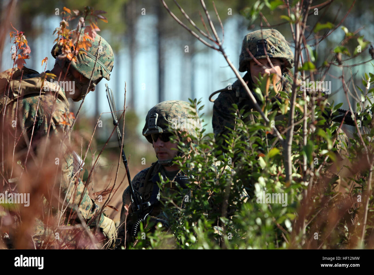 Marines mit Spezial-Marine Air-Ground Task Force Afrika radio eine eingehende MV-22 Osprey während einer Feld-Übung an Bord der Marine Corps Base Camp Lejeune, North Carolina, 16. November 2012. Marines der Special-Purpose MAGTF Afrika 13.2 lernen fortgeschrittene medizinische Kampftechniken, fortgeschrittene Fahrtechniken, Methoden für die Ausbildung von Militärs auf Treffsicherheit und Gewusst wie: einrichten und betreiben Schießbahnen für den nächsten Einsatz vorbereiten.   (Marine Corps Foto von Lance Cpl. Caleb McDonald/freigegeben) Spezial-MAGTF Afrika Zug für die Bereitstellung 121116-M-WB921-055 Stockfoto