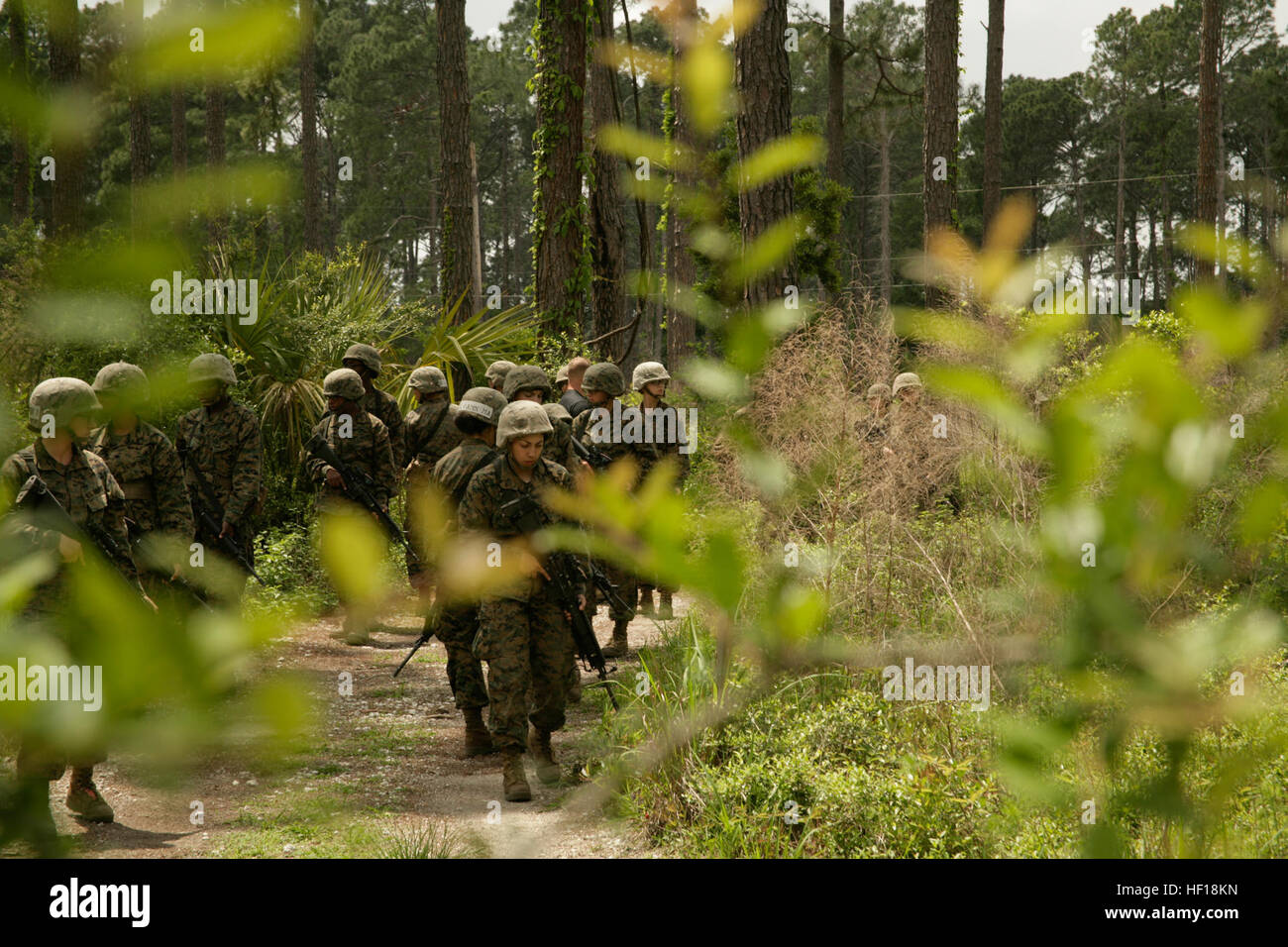 Rekruten von Oscar Company, 4. rekrutieren Training Bataillon, überwachen sorgfältig die Seiten der Straße nach jedem simulierten Sprengstoff Verlauf eine Bombe am Straßenrand 30. April 2013, auf Marine Corps rekrutieren Depot Parris Island, SC Rekruten lernten die verschiedenen Arten von Bomben, die sie antreffen könnte. Oscar-Gesellschaft Schloss 24. Mai 2013. (Foto von Lance CPL David Bessey) Rekruten lernen Sie bekämpfen Grundlagen auf Parris Island 130430-M-FL578-007 Stockfoto