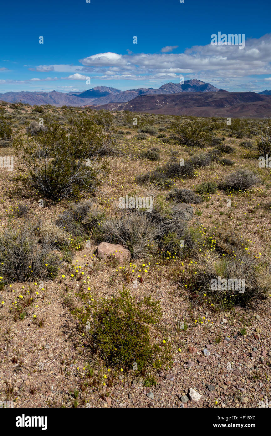 Wüste Landschaft, schwarze Berge, Blick vom, Dante's View, Death Valley National Park, Death Valley, Kalifornien Stockfoto