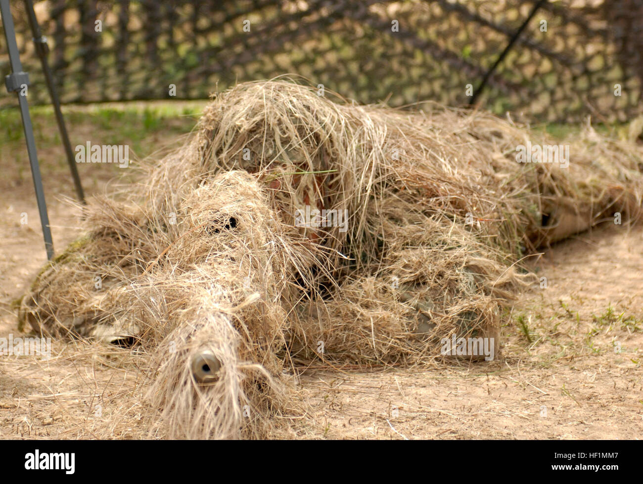 FORT BRAGG, N.C--Pvt. 1. Cass Tschad Holcomb, Sniper mit Scout Platoon, Sitz-Headquarters Company, 2. Bataillon, 505. Fallschirm-Infanterie-Regiment, zeigt Cover und Verschleierung, bewaffnet mit einem Auto SASS Sniper Gewehr, 20. Mai, um die gemeinsamen Operationen Zugang Demonstration auf Sizilien-Drop-Zone, Fort Bragg, N.C. Flickr - DVIDSHUB - Fallschirmjäger demonstrieren Fähigkeiten für die Öffentlichkeit während der gemeinsamen operativen Zugang Demonstration (Bild 3 von 12) Stockfoto