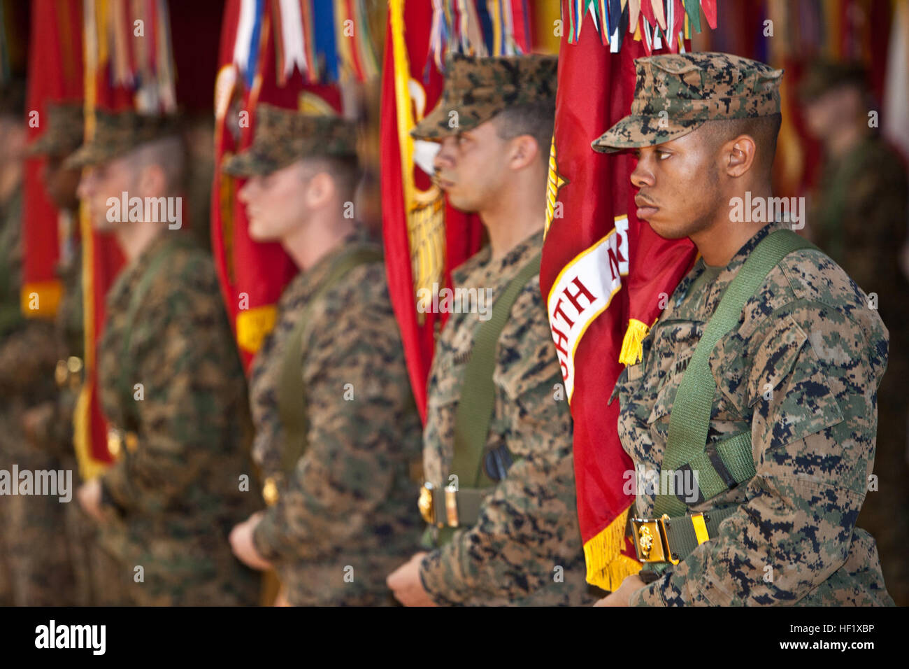 Der 2. Marine-Division (2. MarDiv) Color Guard-Stand auf der Parade Ruhe während der 2. MarDiv Schlacht Farben Umwidmung und Siegerehrung für den 2. MarDiv 73. Jubiläumsfeier am Camp Lejeune, North Carolina, 31. Januar 2014.  Die Zeremonie fand statt, um die Geschichte zu bewahren, zu Ehren und Gedenken der Marines und Matrosen der Division. (Foto: U.S. Marine Corps Lance Cpl. David McKenzie, 2. MARDIV Bekämpfung der Kamera/freigegeben) SMDA 140131-M-HZ136-091 Stockfoto