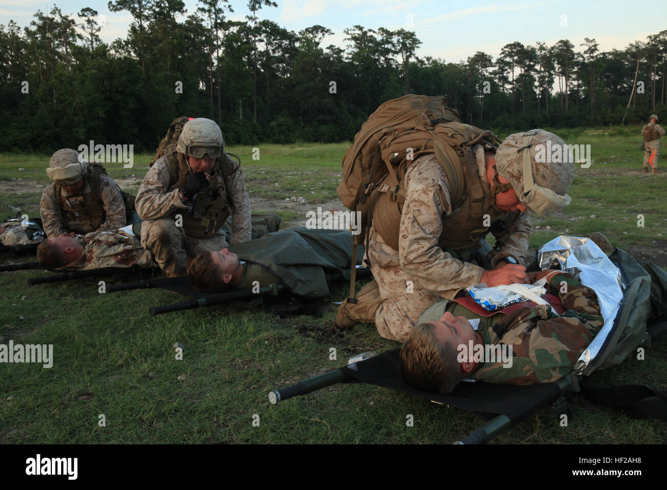 Marines mit Bekämpfung der Logistik-Bataillon 24, 24. Marine Expeditionary Unit, bereiten simulierte Opfer Evakuierung während eines Bohrers Masse Schaden/Unfall-Evakuierung in Camp Lejeune, North Carolina, 17. Juli 2014. Der Bohrer sollte die MEU Fähigkeit zur Reaktion auf ein mass Casualty Szenario testen. Die 24. MEU führt derzeit einsatzvorbereitende Ausbildung in Vorbereitung auf ihren nächsten Einsatz am Ende des Jahres. (Foto: U.S. Marine Corps CPL. Todd F. Michalek/freigegeben) Bekämpfung von Logistik-Bataillon 24 Mass Casualty Evakuierung Bohrer 140717-M-YH418-007 Stockfoto