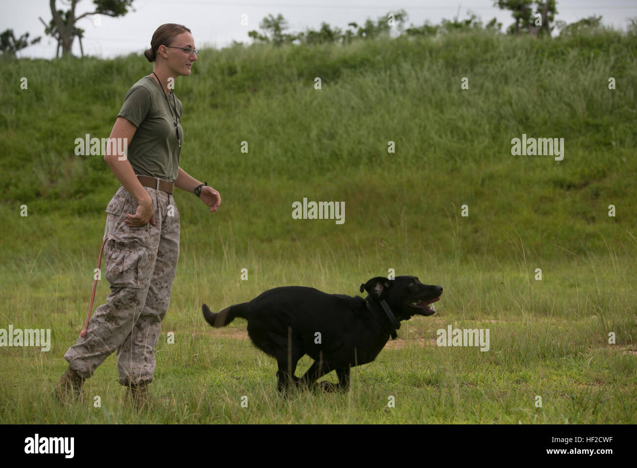 CPL. Bernstein Yager, eine Alexandria, Minnesota, Native und ihr Hund,  Junior, trainieren in gerichtete Fähigkeiten 7. August im Bereich zentralen  Ausbildung, Okinawa, Japan. Gerichtete Fähigkeiten sind z. B. geradem  Rücken, nach links