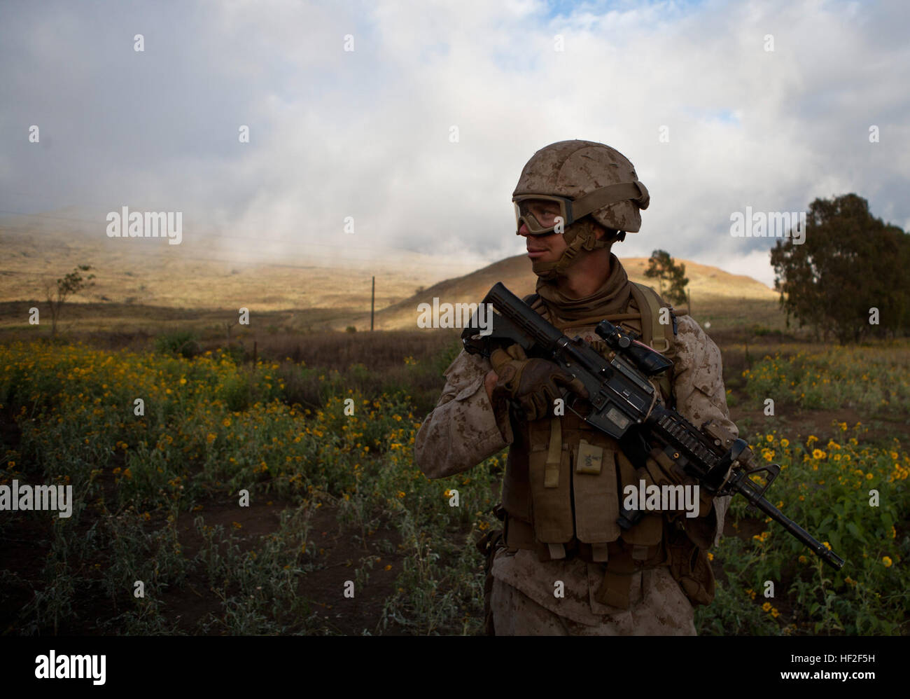 U.S. Navy HM3 Nick Alumbaugh, ein Corpsman, 1. Bataillon, 12. Marine Regiment, Alpha Batterie zugewiesen hat eine Tour rund um den Feuern Punkt an Bord Pohakuloa Training Bereich (PTA), Hawaii, Sept. 4., 2014. Mitglieder des 1. Bataillons, 12. Marines (1/12), sind Steigerung ihrer Fähigkeiten des direkten Feuerunterstützung zur Unterstützung Betrieb spartanisch Zorn. (Foto: U.S. Marine Corps Lance Cpl. Victor A. Mancilla/freigegeben) Spartanisch Zorn 2014, 1-12 140904-M-AU949-003 Stockfoto