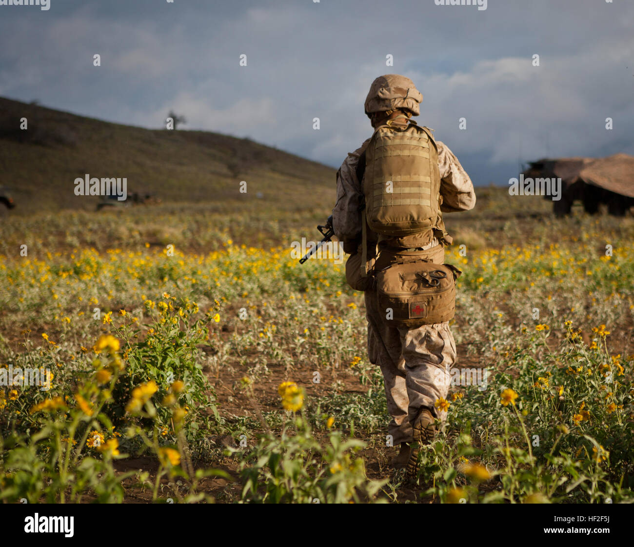 U.S. Navy HM3 Nick Alumbaugh, ein Corpsman, 1. Bataillon, 12. Marine Regiment, Alpha Batterie zugewiesen hat eine Tour rund um den Feuern Punkt an Bord Pohakuloa Training Bereich (PTA), Hawaii, Sept. 4., 2014. Mitglieder des 1. Bataillons, 12. Marines (1/12), sind Steigerung ihrer Fähigkeiten des direkten Feuerunterstützung zur Unterstützung Betrieb spartanisch Zorn. (Foto: U.S. Marine Corps Lance Cpl. Victor A. Mancilla/freigegeben) Spartanisch Zorn 2014, 1-12 140904-M-AU949-004 Stockfoto