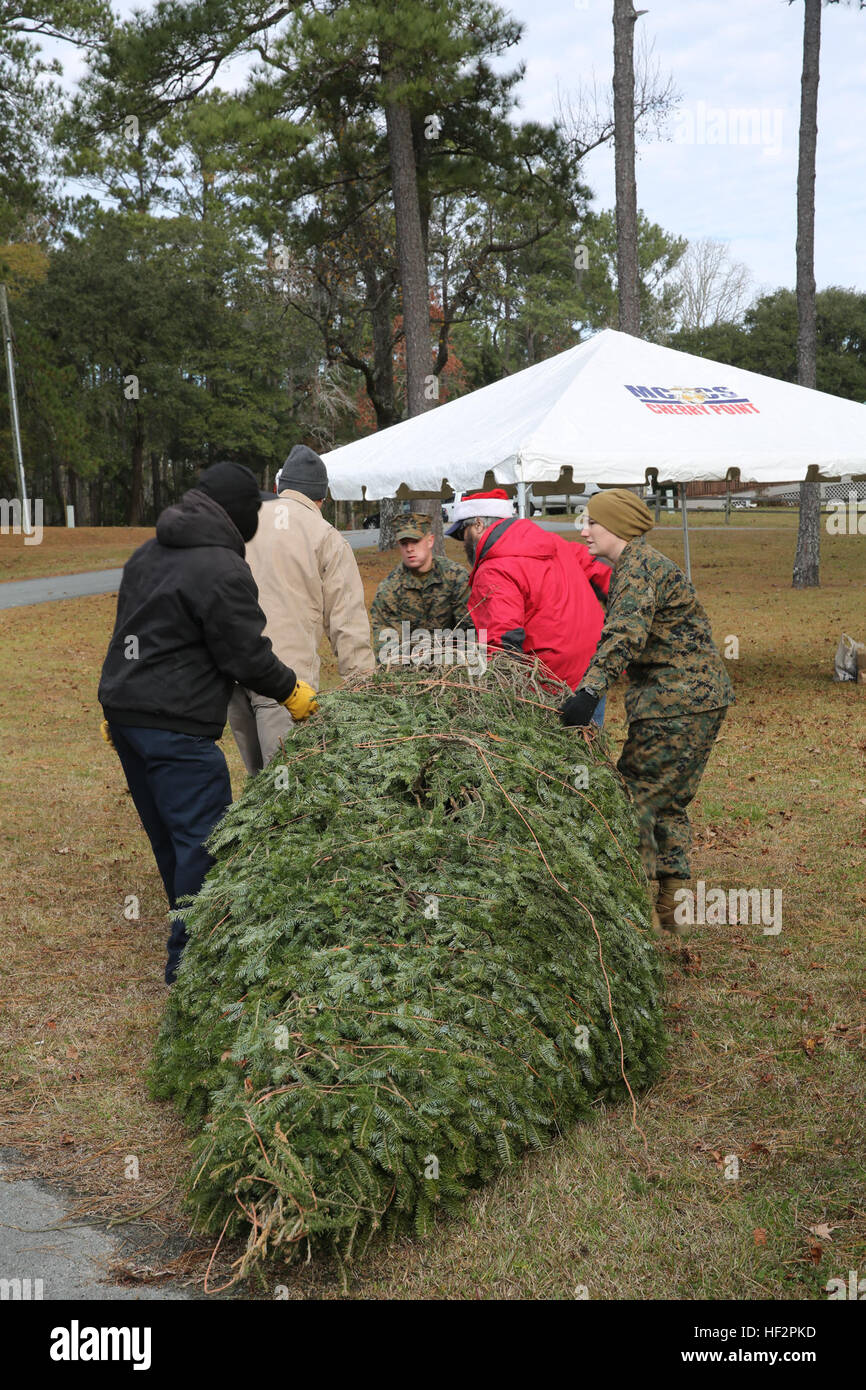 Freiwillige ziehen Sie einen 11-Fuß-Baum in den Rasen während der jährlichen Bäume Truppen Veranstaltung im Marine Corps Air Station Cherry Point, North Carolina, 11. Dezember 2014. Bäume für Truppen ist eine jährliche Veranstaltung gesponsert von Marine Corps Community Services, The National Christmas Tree Association, The Christmas Spirit Foundation und FedEx, Weihnachtsbäume, Soldaten und deren Angehörige und Angehörige zu verteilen. Bäume für Truppen verbreitet Weihnachtsstimmung in Cherry Point 141211-M-SR938-010 Stockfoto