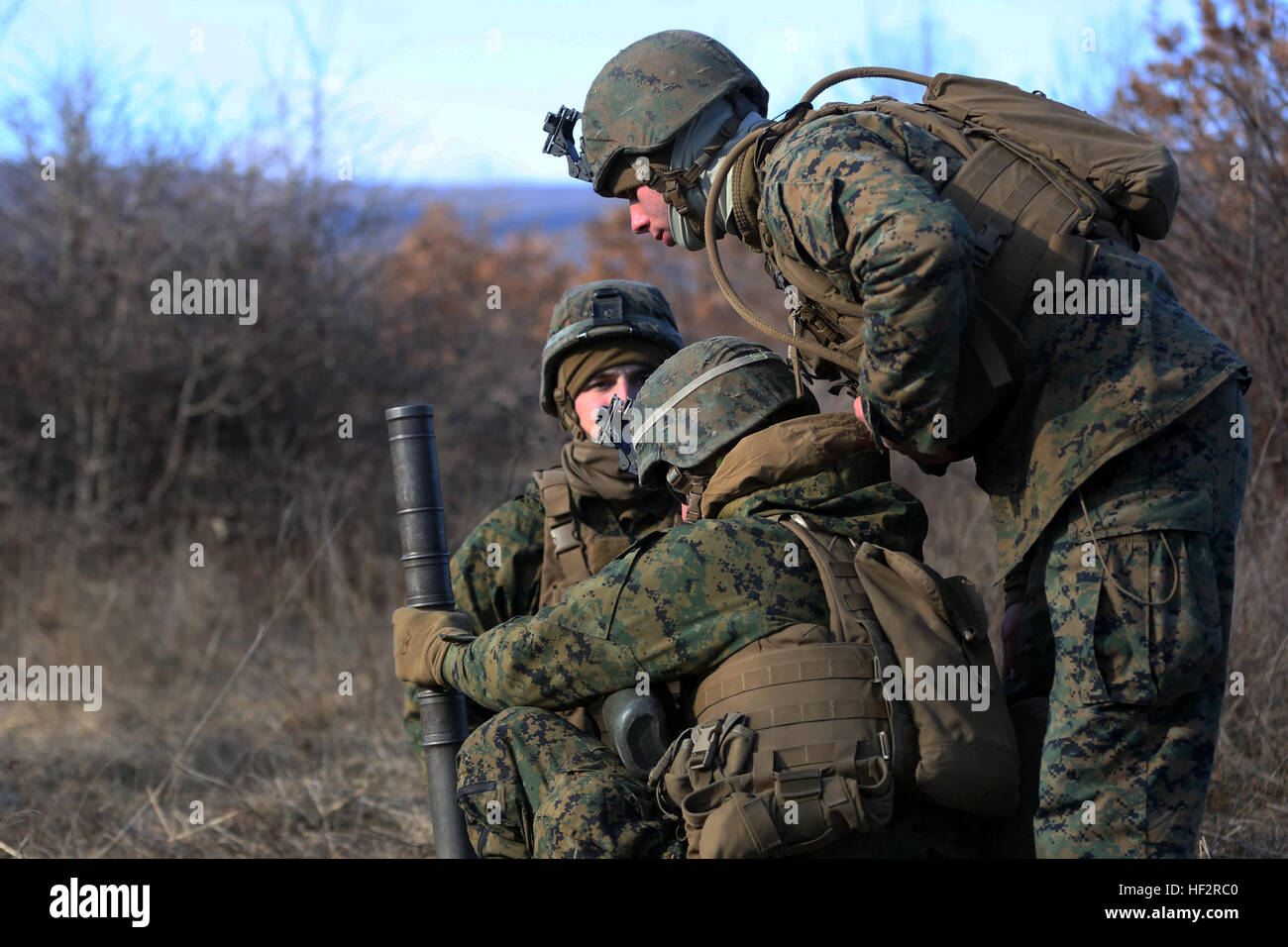 Schwarzmeer Rotations Kraft Marines mit 81mm Mörser Platoon Feuer hochexplosive und Beleuchtung runden bei Novo Selo Trainingsbereich, Bulgarien isst Jan. 6. Die Marines mit Waffen Co., 2. Bataillon, 2. Marines, begab sich auf eine einwöchige Übung einschließlich Irrlicht und einem Unternehmen große Angriff. (U.S. Marine Corps Foto von CPL. Ryan Young/freigegeben) Marines bereiten für Platin Löwe mit scharfer Munition Übung 150106-M-KK554-895 Stockfoto