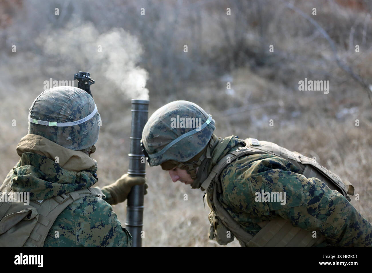 Schwarzmeer Rotations Kraft Marines mit 81mm Mörser Platoon Feuer hochexplosive und Beleuchtung runden Kampfeinsätzen Jan 15 bei Novo Selo Trainingsbereich, Bulgarien. Die Marines mit Waffen Co., 2. Bataillon, 2. Marines, begab sich auf eine einwöchige Übung einschließlich Irrlicht und einem Unternehmen große Angriff. (U.S. Marine Corps Foto von CPL. Ryan Young/freigegeben) Marines bereiten für Platin Löwe mit scharfer Munition Übung 150106-M-KK554-951 Stockfoto