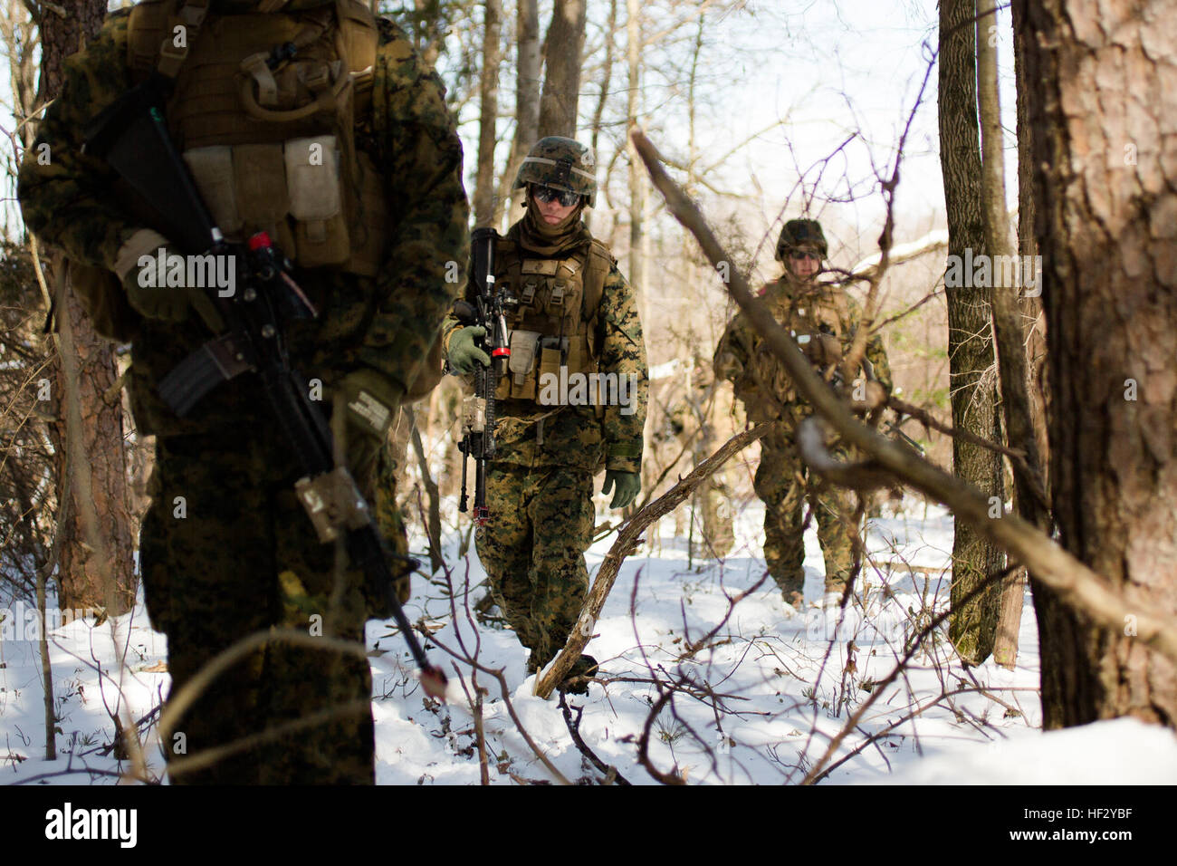 U.S. Marine Corps Lance Cpl. Michael Fernandez, Center, Teamleiter, Alpha Company, 1. Bataillon, 8. Marine Regiment, 2. Marine Division (MARDIV), beteiligt sich an eine zwei Kilometer lange Patrouille mit seinem Trupp während der Bereitstellung für die Übung auf der Marine Corps Base Quantico, Virginia, 18. Februar 2015. Die Übung auf Stabilisierungsoperationen und diverse Trainingsmissionen konzentriert. (Foto: U.S. Marine Corps Lance Cpl. Kelly L. Street, 2D MARDIV Bekämpfung der Kamera/freigegeben) 1-8 Marines Bereitstellung für Training Übung 150218-M-OU200-007 Stockfoto