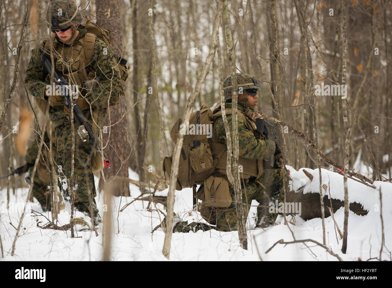 US Marine Corps Pfc William K. Finn, links, Schütze, Alpha Company, 1. Bataillon, 8. Marine Regiment, 2. Marine Division (MARDIV), beteiligt sich an einer Patrouille während Pfc David T. Davis rechts, Schütze, Sicherheit bei einer Einrichtung für die Ausbildung auf der Marine Corps Base Quantico, Virginia, 18. Februar 2015 bietet. Die Übung auf Stabilisierungsoperationen und diverse Trainingsmissionen konzentriert. (Foto: U.S. Marine Corps Lance Cpl. Kelly L. Street, 2D MARDIV Bekämpfung der Kamera/freigegeben) 1-8 Marines Bereitstellung für Training Übung 150218-M-OU200-030 Stockfoto
