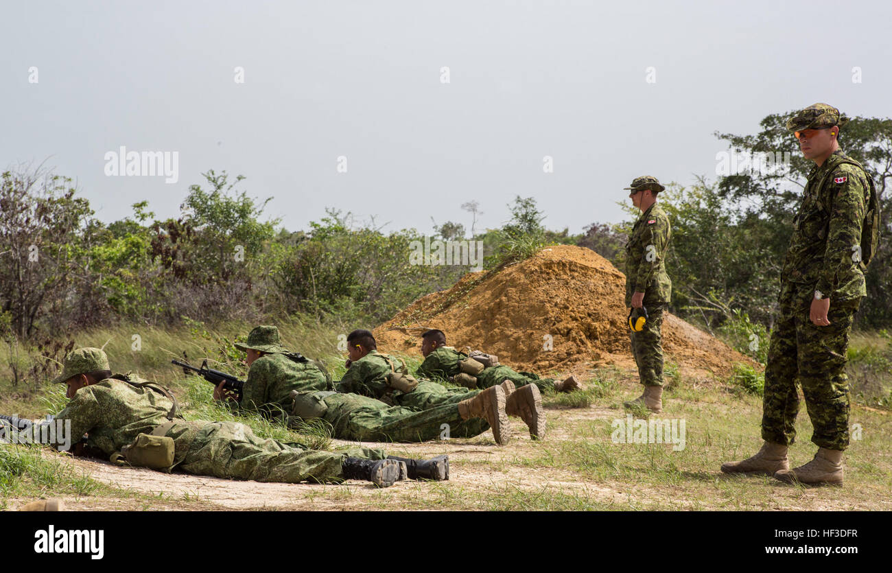 Eine kanadische Treffsicherheit Lehrer mit 2. Bataillon, königliches kanadisches Regiment arbeitet mit Multi-Nationen, Gewehr-Ausbildung im Hattieville Bereich, Belize, 17. Juni 2015 durchzuführen. Tradewinds 2015 ist eine kombinierte, gemeinsame US Southern Command geförderte Bewegung und eine Chance für die beteiligten Partnernationen zusammenkommen, regionale Sicherheit zu erhöhen. (US Marine Corps Foto: Lance Cpl. Kimberly Aguirre/freigegeben) Tradewinds 2015 150617-M-NX410-041 Stockfoto