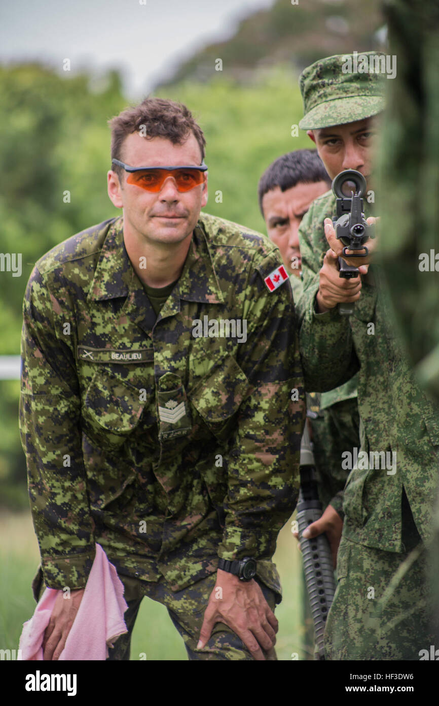 Kanadier / Sgt. Mike Beaulieu, Betrieb Ausbilder, 2. Bataillon, königliches kanadisches Regiment, Züge multinationale Kräfte innen städtische Taktik Training, innere enge Quartal Schlachten und Zimmer Lichtungen Preis Barracks, Belize, 20. Juni 2015. Tradewinds 2015 ist eine kombinierte, gemeinsame US Southern Command geförderte Bewegung und eine Chance für die beteiligten Partnernationen zusammenkommen, regionale Sicherheit zu erhöhen. (US Marine Corps Foto: Lance Cpl. Kimberly Aguirre/freigegeben) Tradewinds 2015 Raum Clearing Bohrer 150620-M-NX410-013 Stockfoto