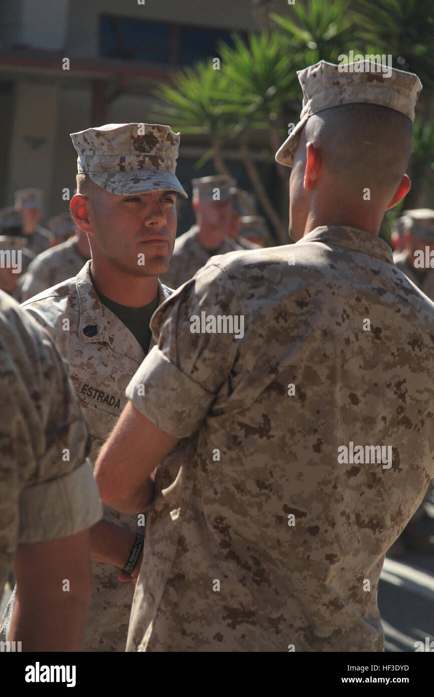 MARINE CORPS BASE CAMP PENDLETON, Kalifornien – Staff Sgt Juan Estrada, Zug-Führer, 1st Combat Engineer Battalion, erhält seine Bronzestern mit Kampf während einer Preisverleihung, Aug. 8 Gerät von Oberstleutnant Andrew Niebel, Bataillonskommandeur, 1. CEB zu unterscheiden. Eines seiner bemerkenswerten Aktionen während der Bereitstellung aufgetreten ist, wenn er ein Fahrzeug Rollen in einen Kanal 10 Fuß Tiefen erlebt. Estrada sprang ins Wasser und fanden, dass der Revolver Schütze unter dem eiskalten Wasser gefangen. Er befreit die Marine, ihn vor dem Ertrinken zu retten, dann blieb zurück zum Abrufen von Waffen, Radios und dringend benötigte Hilfsgüter. (U Stockfoto