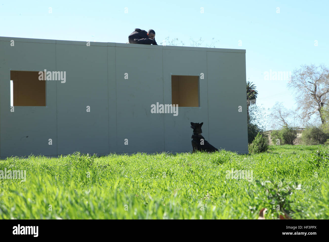 Ein Mehrzweck-Hund mit der Vereinigte Staaten Marine Corps Kräfte spezielle Operationen Command (MARSOC) erkennt ein Widerstand Kraft Rollenspieler während einer Freifläche-Erkennung-Übung in Camp Pendleton, Kalifornien, am 2. Februar 2016. MARSOC ist spezialisiert auf direkte Aktion, besondere Aufklärungs- und ausländischen interne Verteidigung und leitete auch zur Bekämpfung des Terrorismus und Info-Operationen durchzuführen.  (US Marine Corps Foto von Lance CPL Roderick Jacquote, MCIWEST-MCB CamPen/freigegeben) Hunde Training 160202-M-DU576-114 Stockfoto