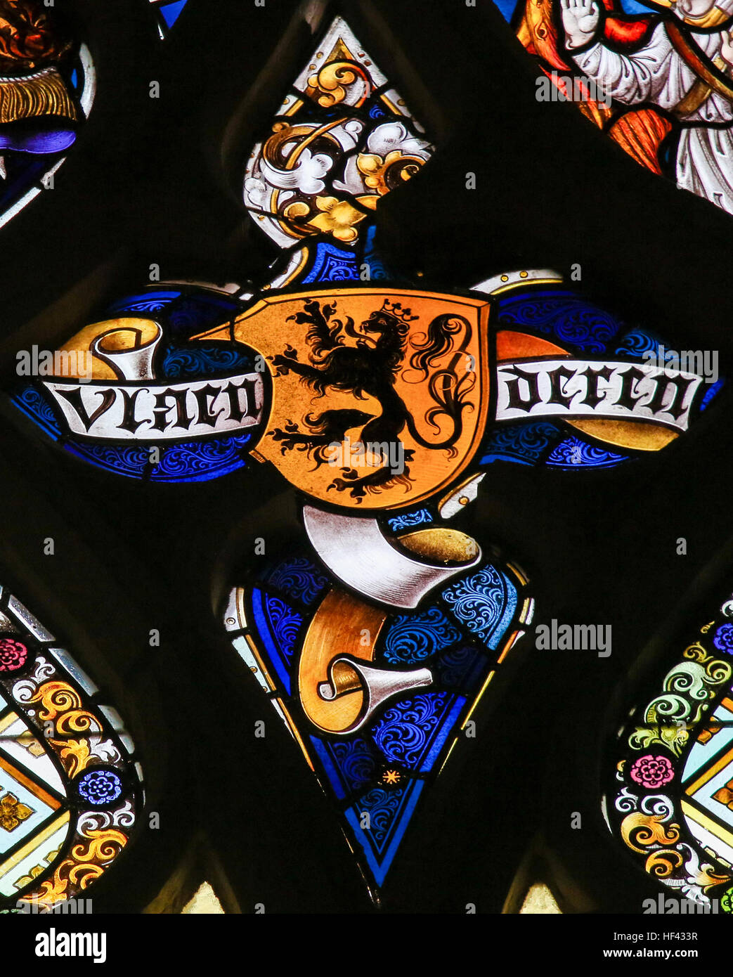 Glasmalerei-Fenster Darstellung der flämische Löwe und der Text Vlaanderen (Flandern) in der Kathedrale St. Bavo in Gent, Flandern, Belgien. Stockfoto