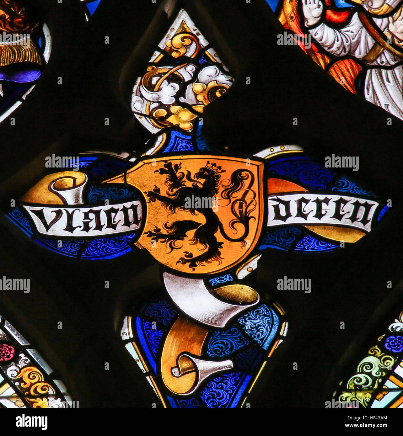 Glasmalerei-Fenster Darstellung der flämische Löwe und der Text Vlaanderen (Flandern) in der Kathedrale St. Bavo in Gent, Flandern, Belgien. Stockfoto