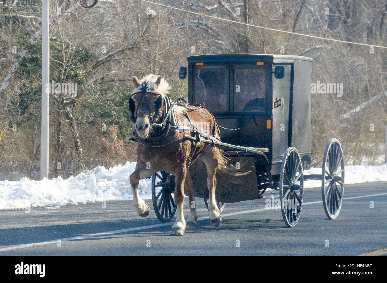 Eine amische Buggy unterwegs Bull in St. Mary's County, Maryland, 18. Februar 2015. Stockfoto