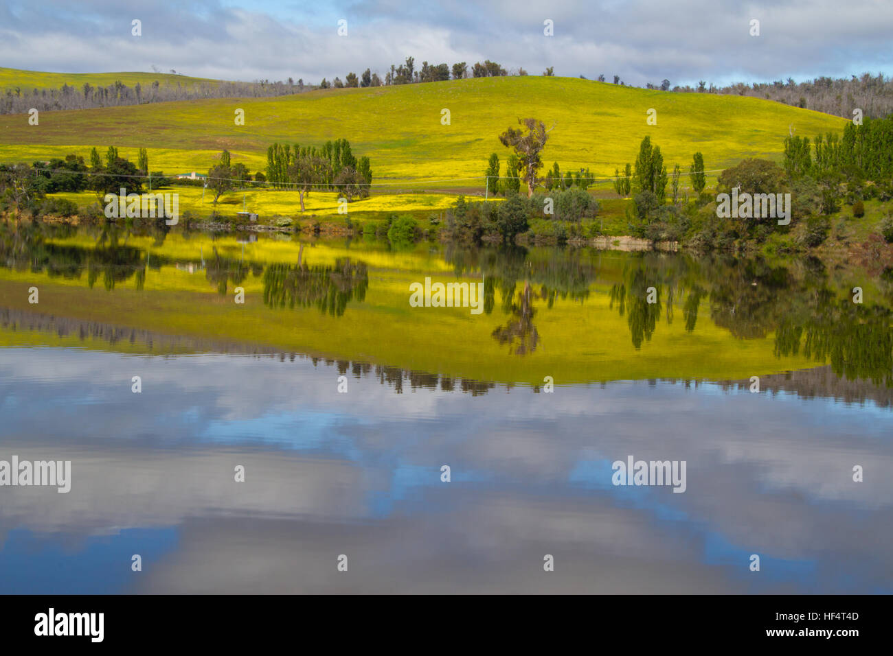 Reflexionen über einen Tasmanischen See Stockfoto