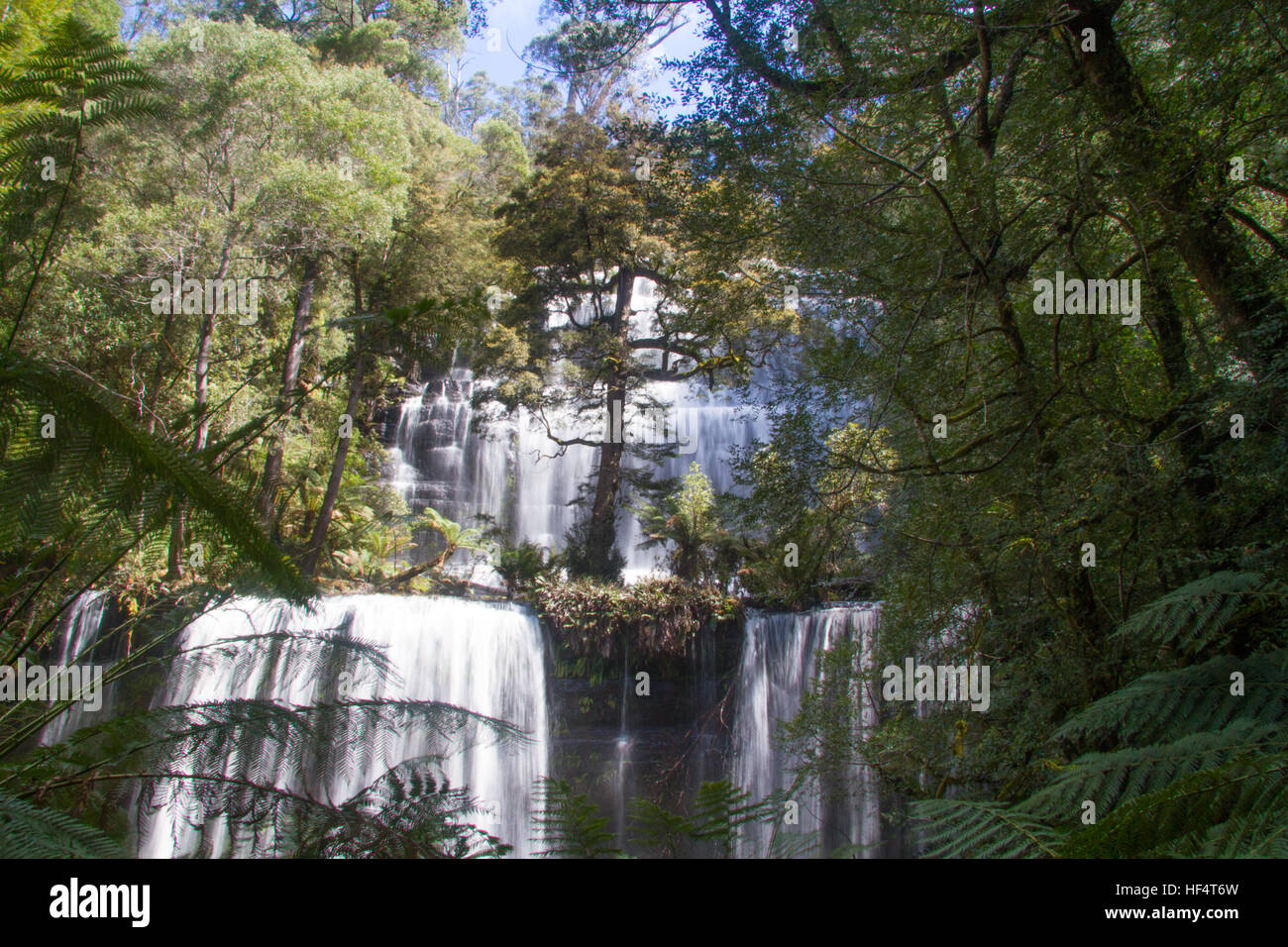 Russell Falls, Mount Field National Park, Tasmanien, Australien Stockfoto