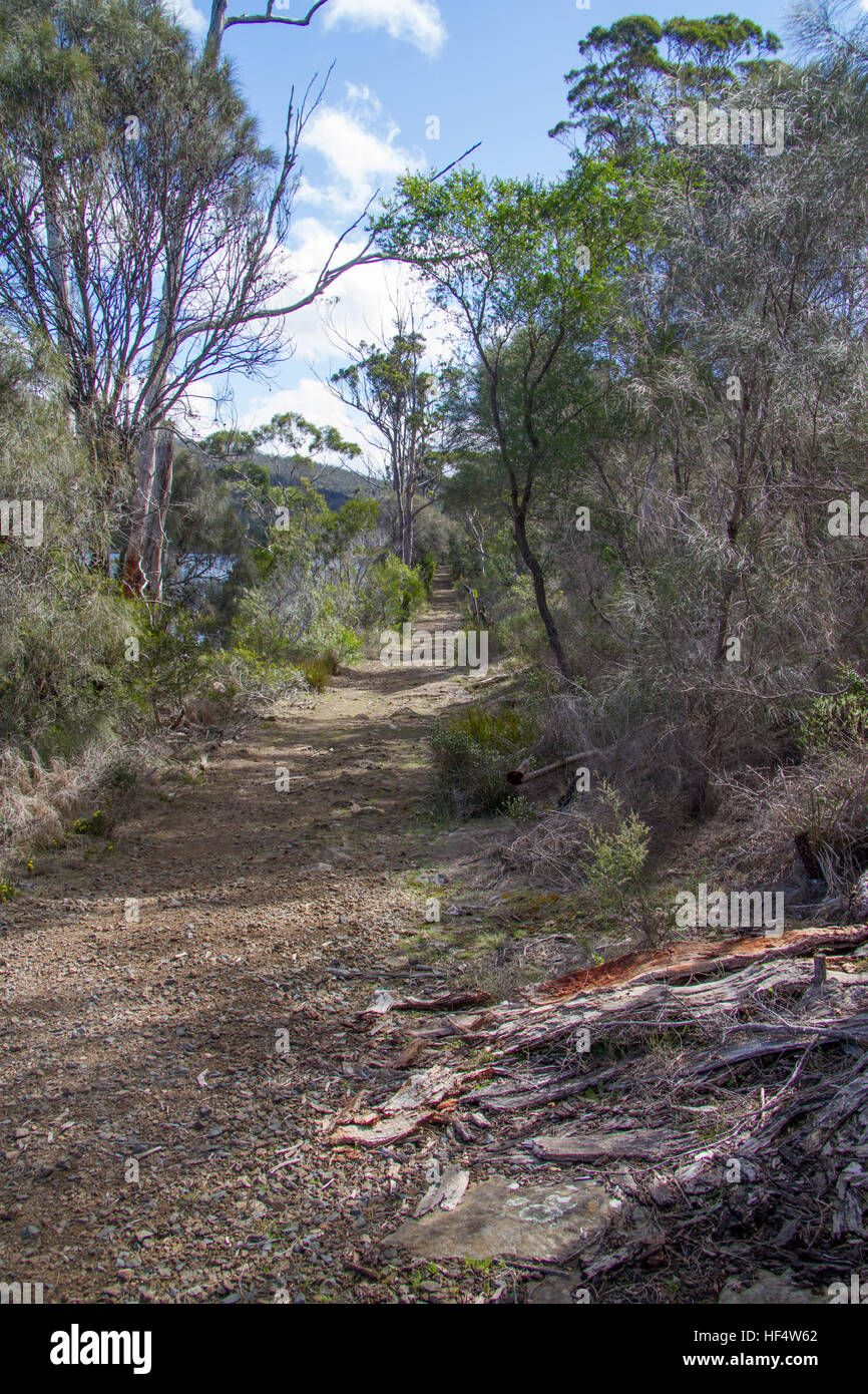Überführen Sie gebaute Straße, Tasmanien, Australien Stockfoto