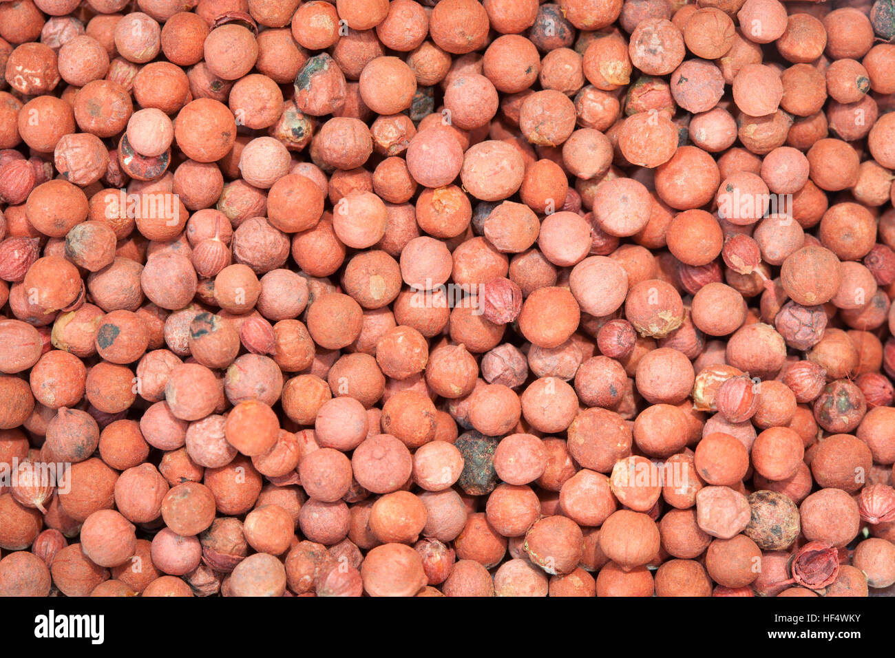 Rote Pfefferkörner, Ägypten Stockfoto