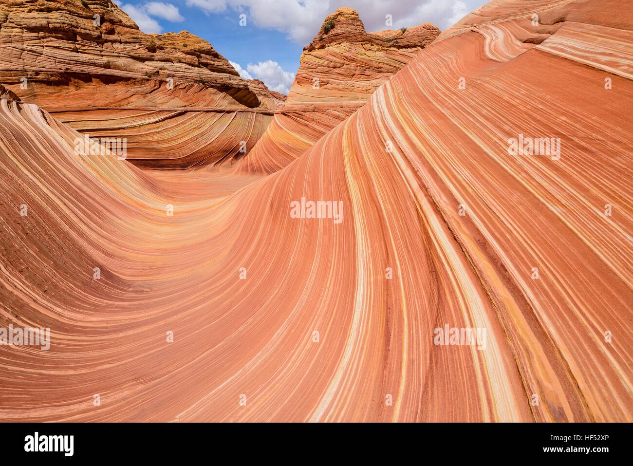 Rock Wellen - glatt und bunten Sandstein Felsen im Zentrum von The Wave in North Coyote Buttes an die Grenze zu Arizona-Utah, USA. Stockfoto