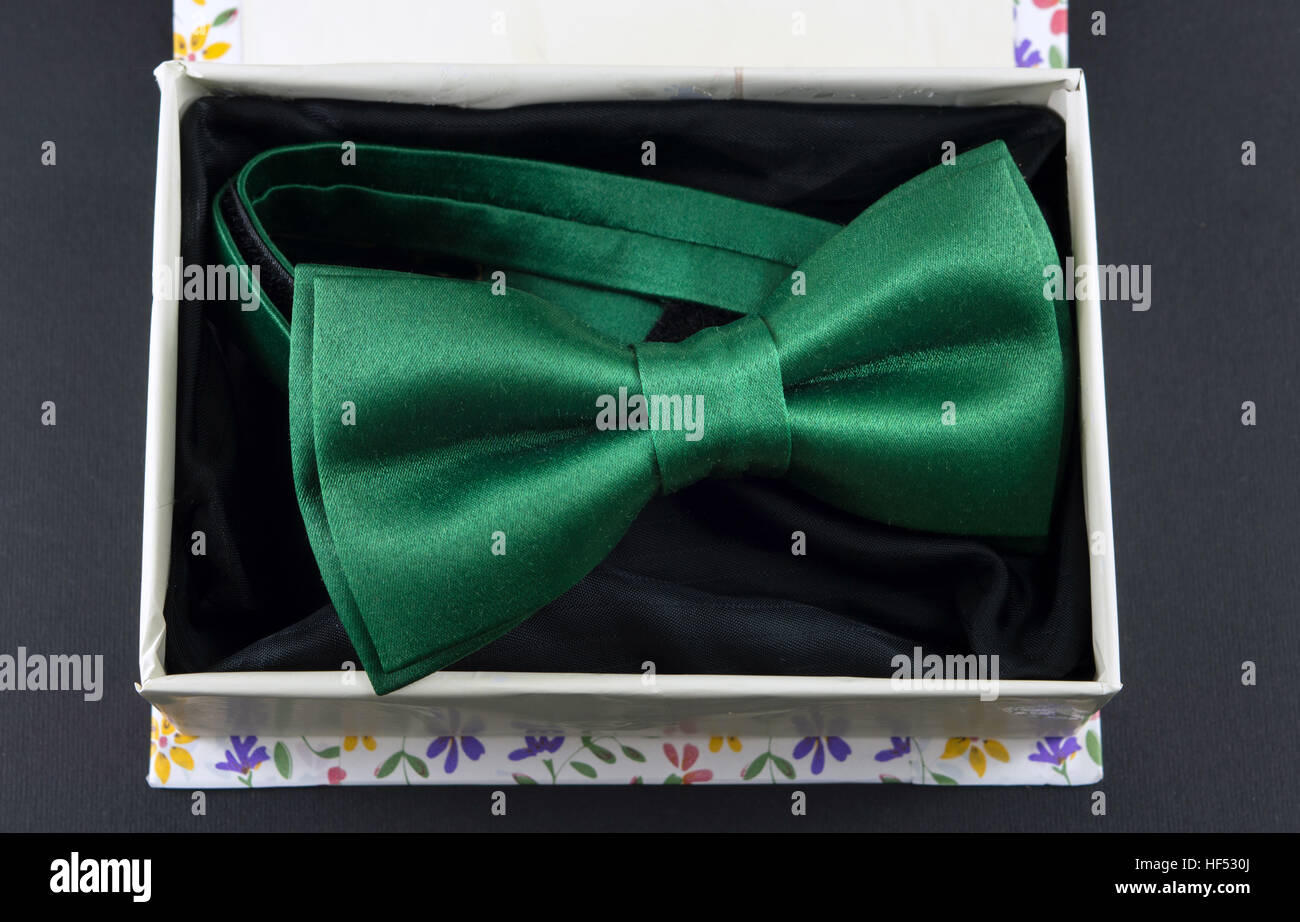 Grüne Fliege in einer Geschenkbox auf schwarzem Hintergrund Stockfoto