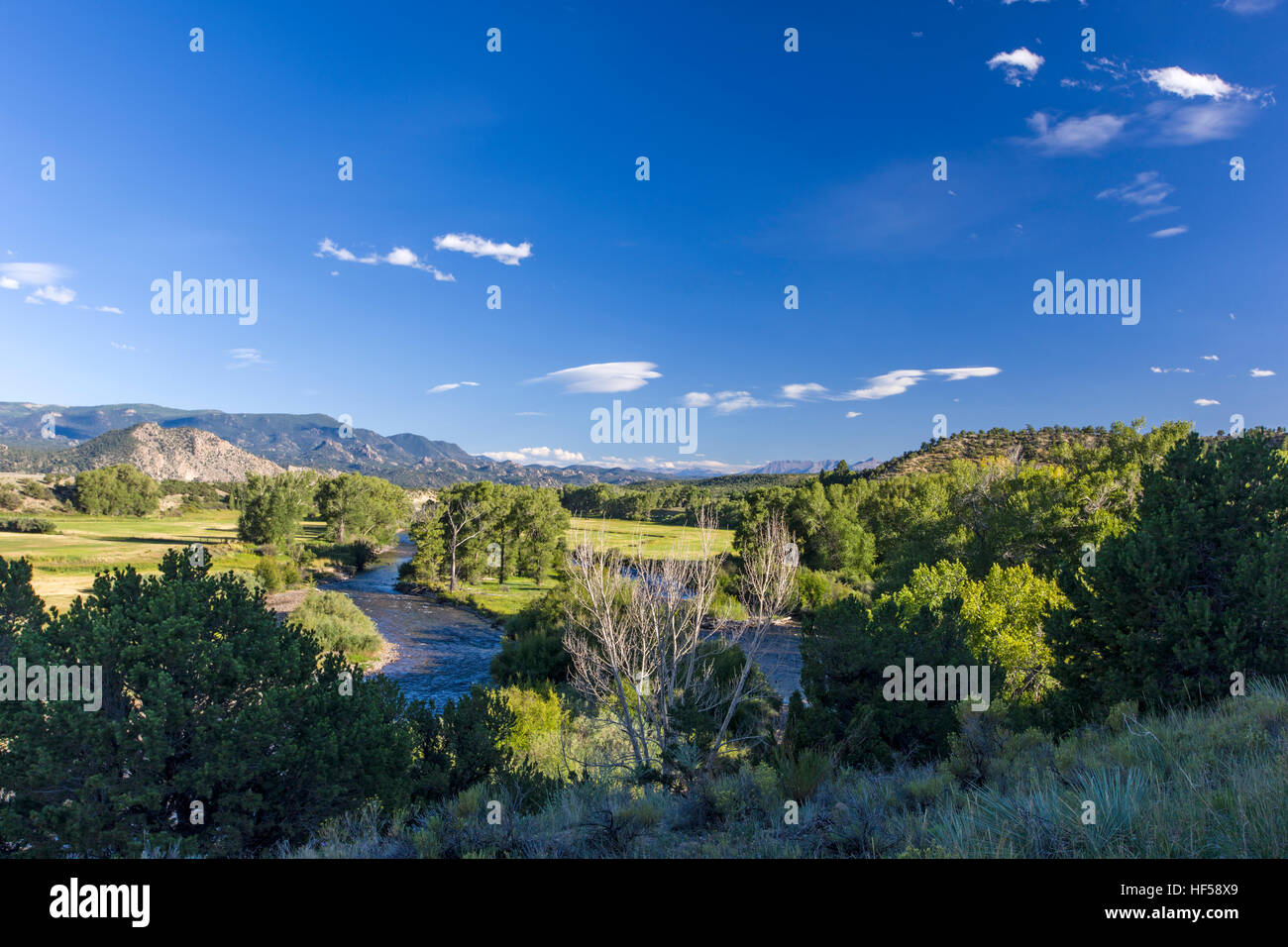 Blick auf den Arkansas River zwischen Salida und Buena Vista, Chaffee County, Colorado, USA Stockfoto