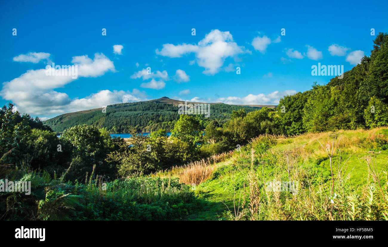 über den Wipfeln in Derbyshire Peak District Ray Boswell Stockfoto