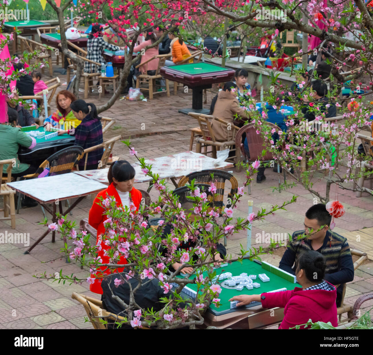 Menschen Sie spielen Mahjong auf der Straße, Chengdu, Provinz Sichuan, China Stockfoto