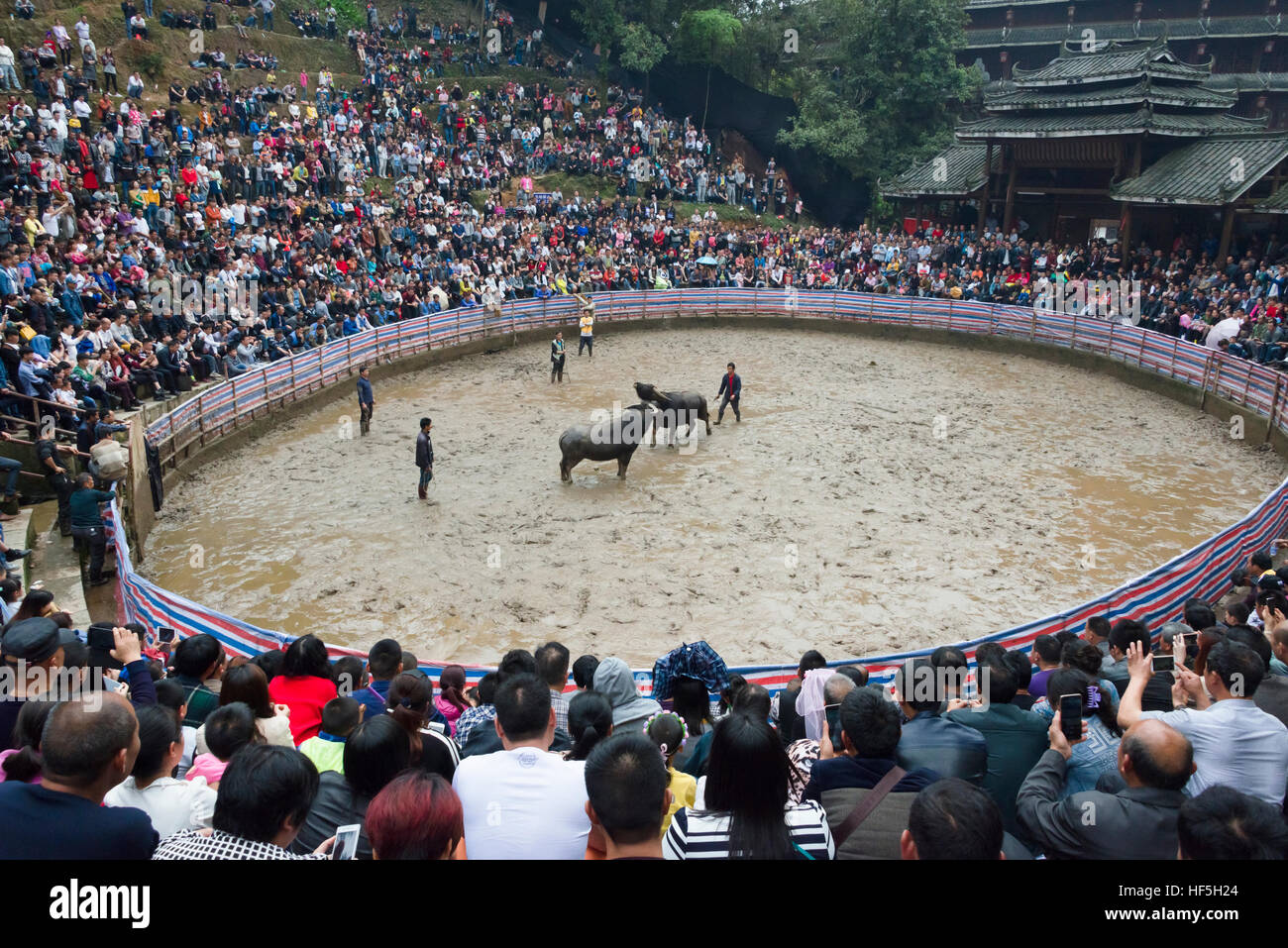Publikum beobachten Stierkampf in der Arena feiern Lunar 3 März singen Festival, Sanjiang, Provinz Guangxi, China Stockfoto