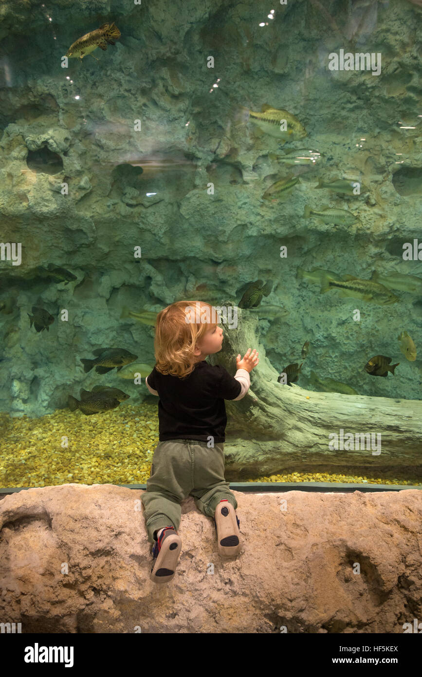 Feierliche Eröffnung des Bass Pro Shops Sportler Center Gainesville, Florida spezialisiert auf alle Aktivitäten im Freien und damit verbundene Tätigkeiten. Stockfoto