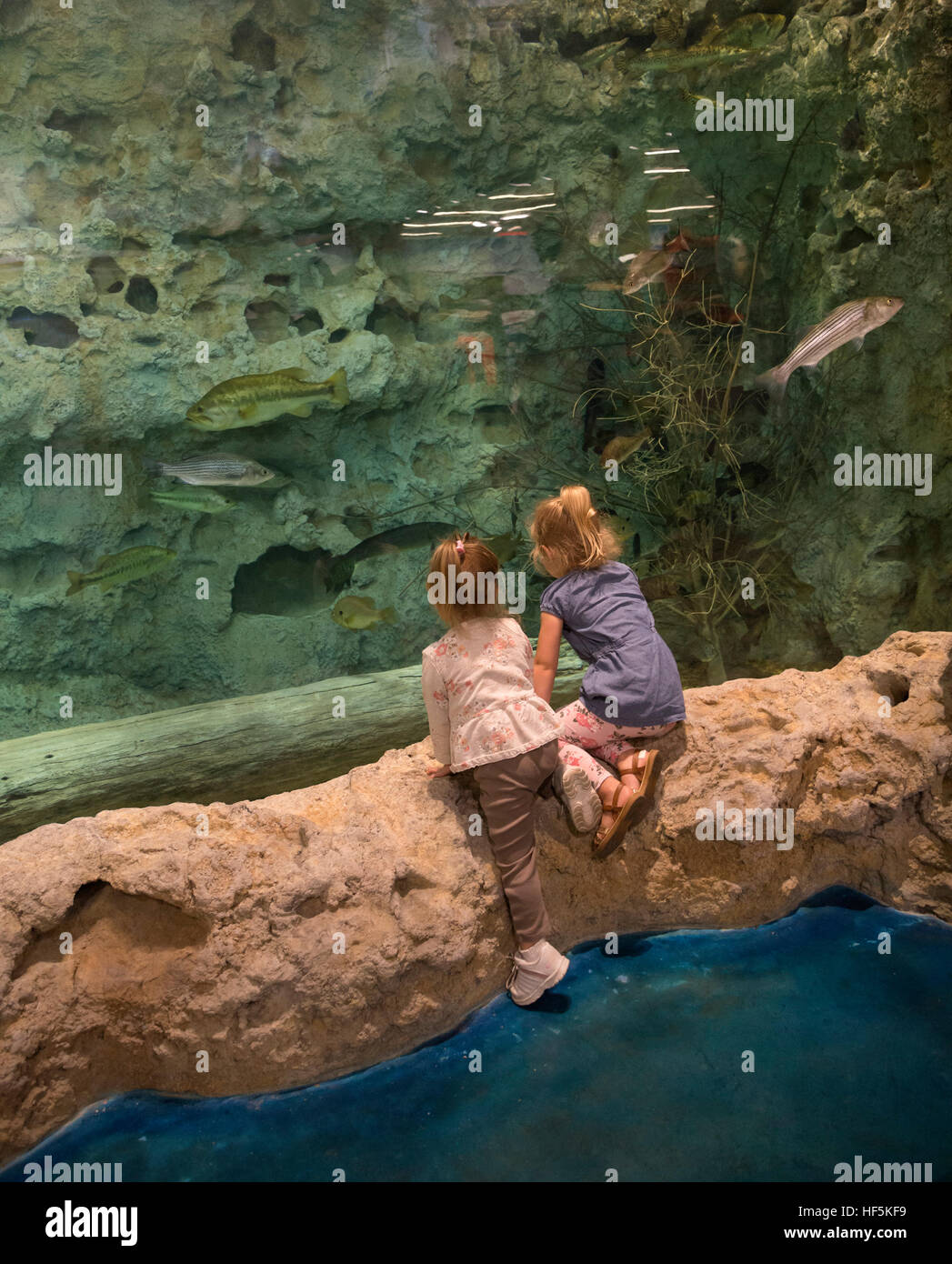 Feierliche Eröffnung des Bass Pro Shops Sportler Center Gainesville, Florida spezialisiert auf alle Aktivitäten im Freien und damit verbundene Tätigkeiten. Stockfoto