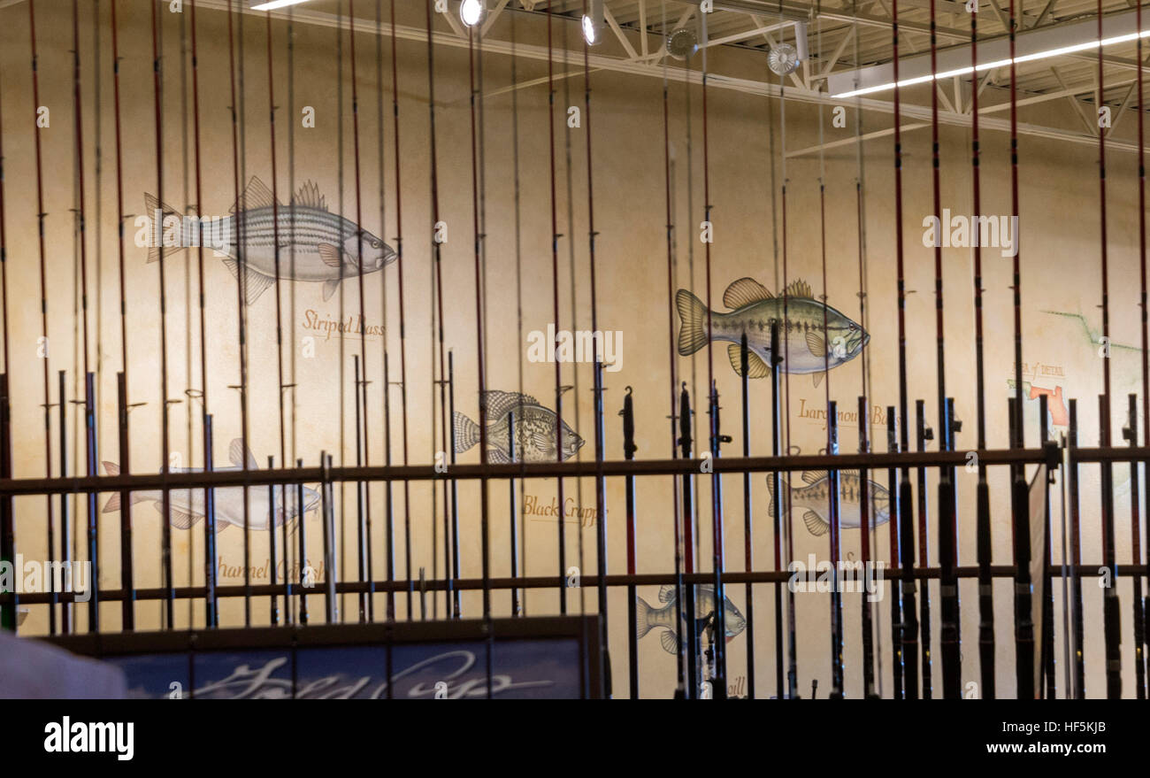 Feierliche Eröffnung des Bass Pro Shops Sportler Center Gainesville, Florida spezialisiert auf alle Aktivitäten im Freien und damit verbundene Tätigkeiten. Stockfoto