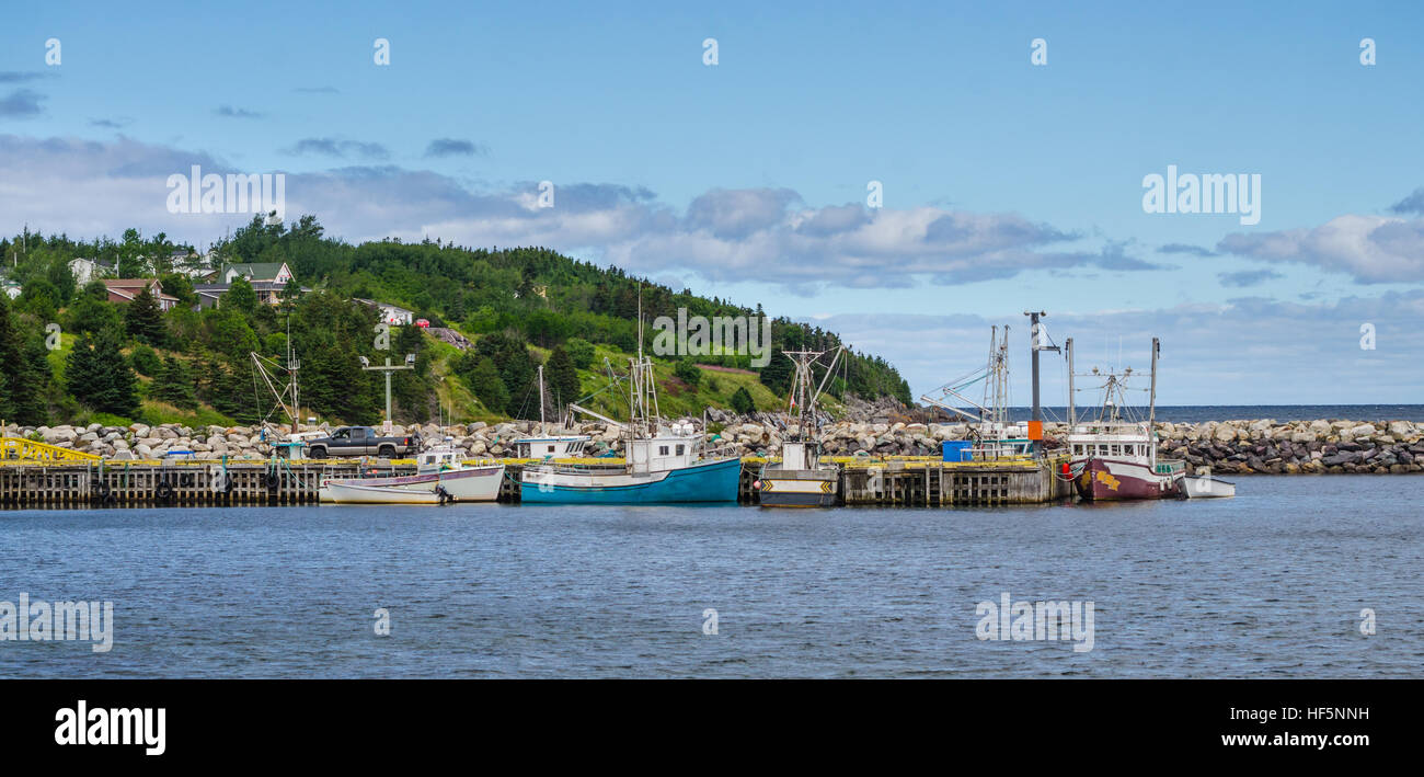 Angelboote/Fischerboote angedockt in Dörfern Häfen in Bonavista, Neufundland, Kanada. Stockfoto