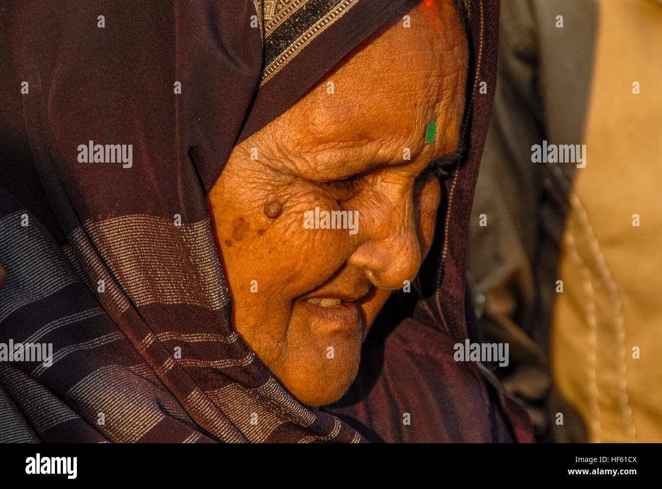 Porträt von alte Frau mit Tika in Indien Stockfoto