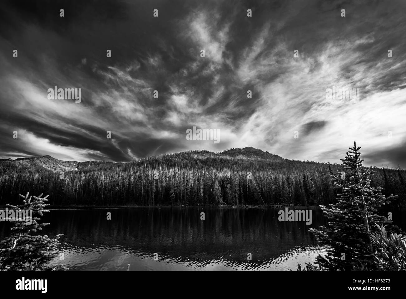 Schwarz / weiß Sylvan Lake Stockfoto