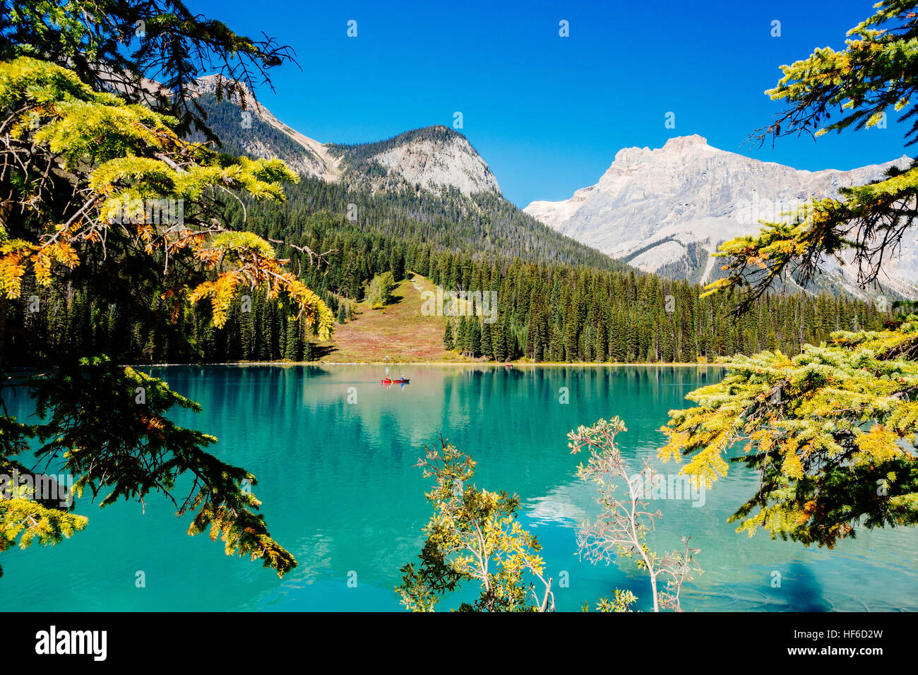 Emerald Lake befindet sich im Yoho Nationalpark, Britisch-Kolumbien, Kanada. Es ist die größte der Yoho 61 Seen und Teiche, sowie eines des Parks Stockfoto