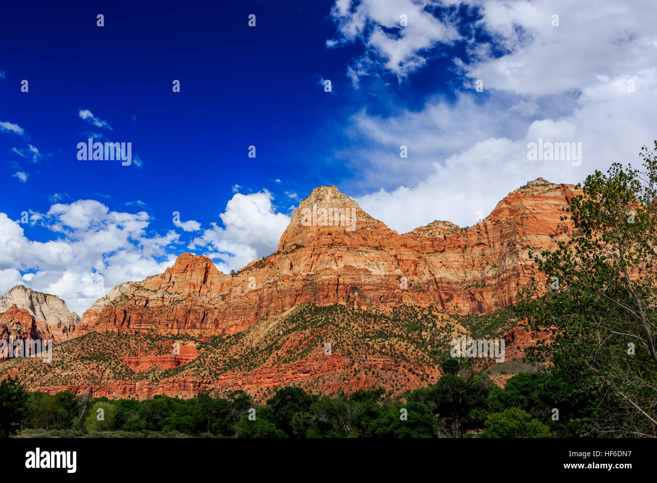 Zion Nationalpark hat viele schöne Sehenswürdigkeiten, Tausende von Besuchern kommen aus der ganzen Welt jedes Jahr. Stockfoto