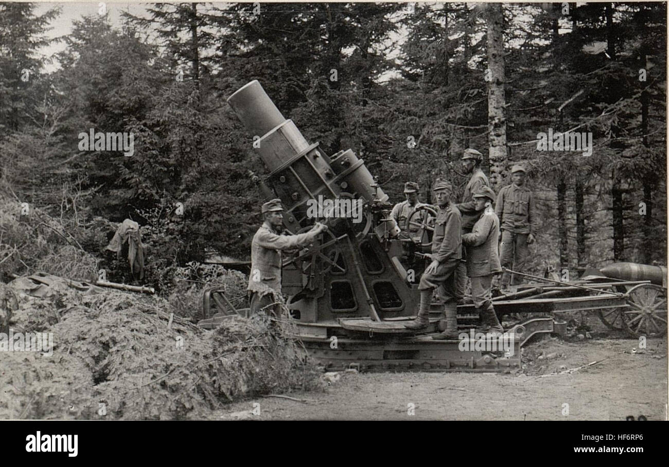 30,5 cm Mörser in lung Im Ternovanerwalde.27.8.17 15599443) Stockfoto