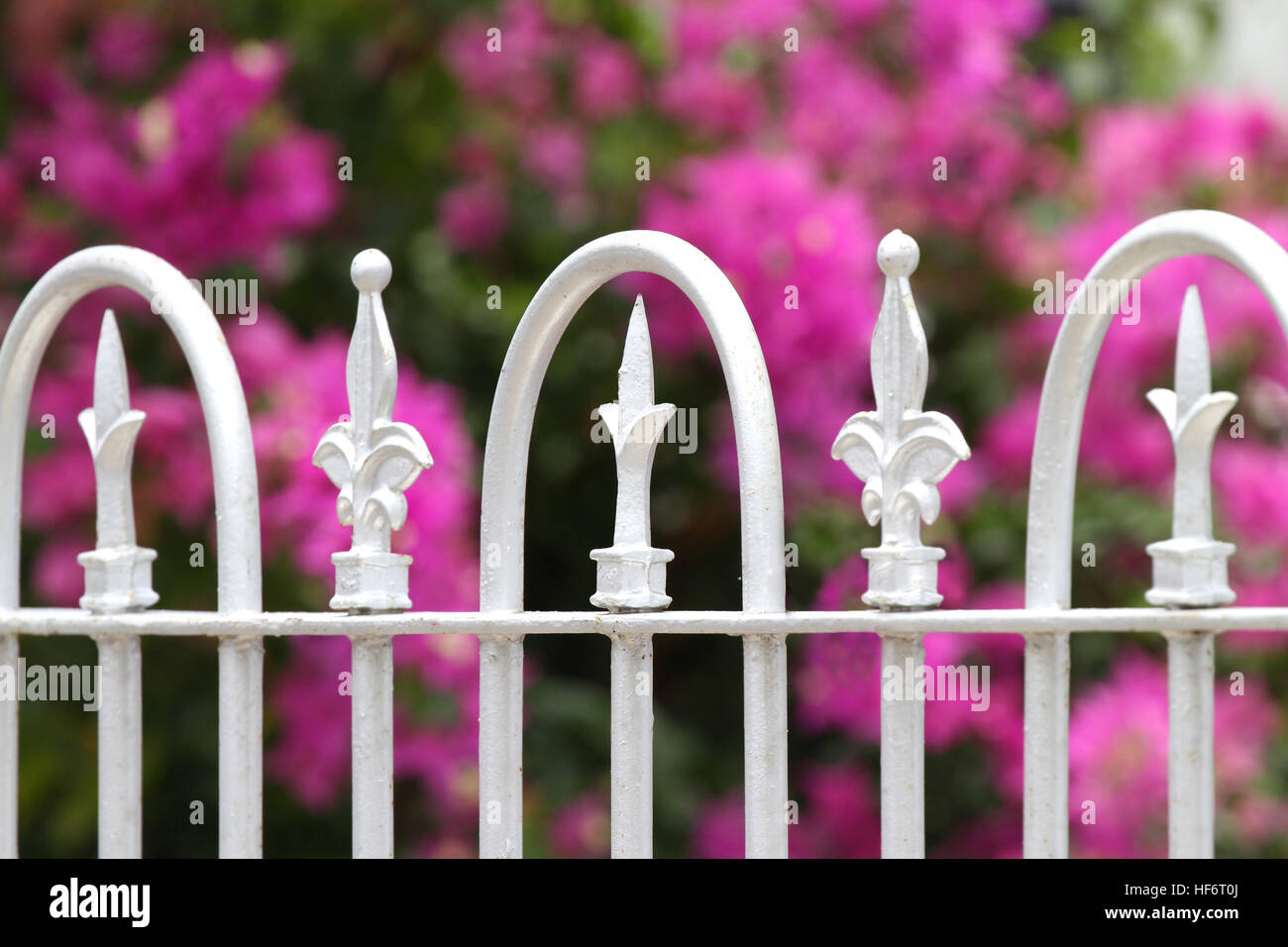 Nahaufnahme von einer alten weißen Geländer dekorativen Eisenzaun mit Blumen im Hintergrund Stockfoto