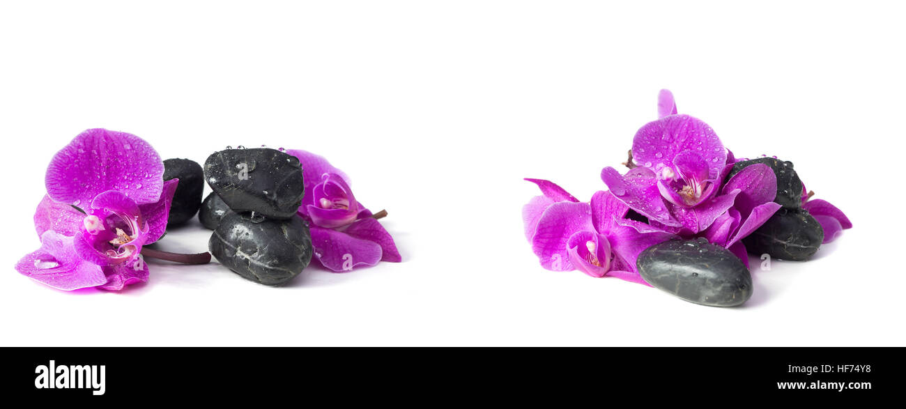 Spa-Konzept des violetten Orchidee auf Steinen mit Tropfen Stockfoto